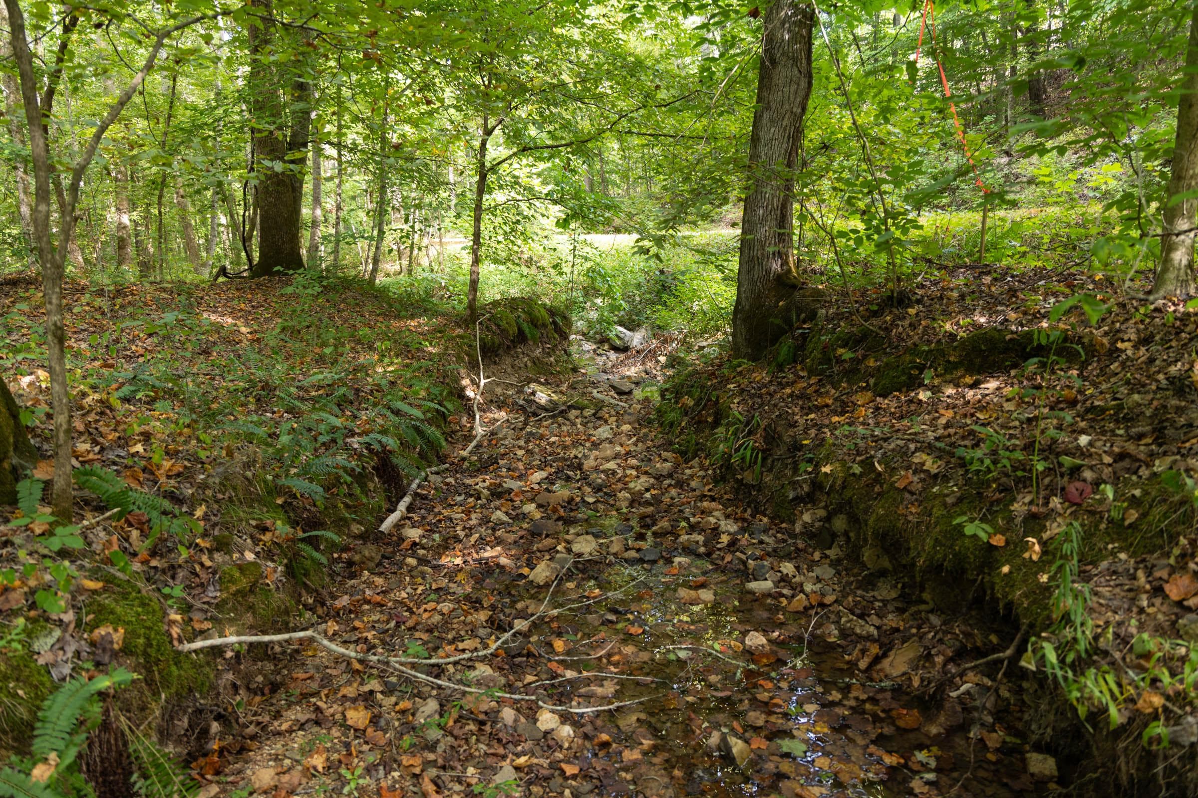 Property photo 153