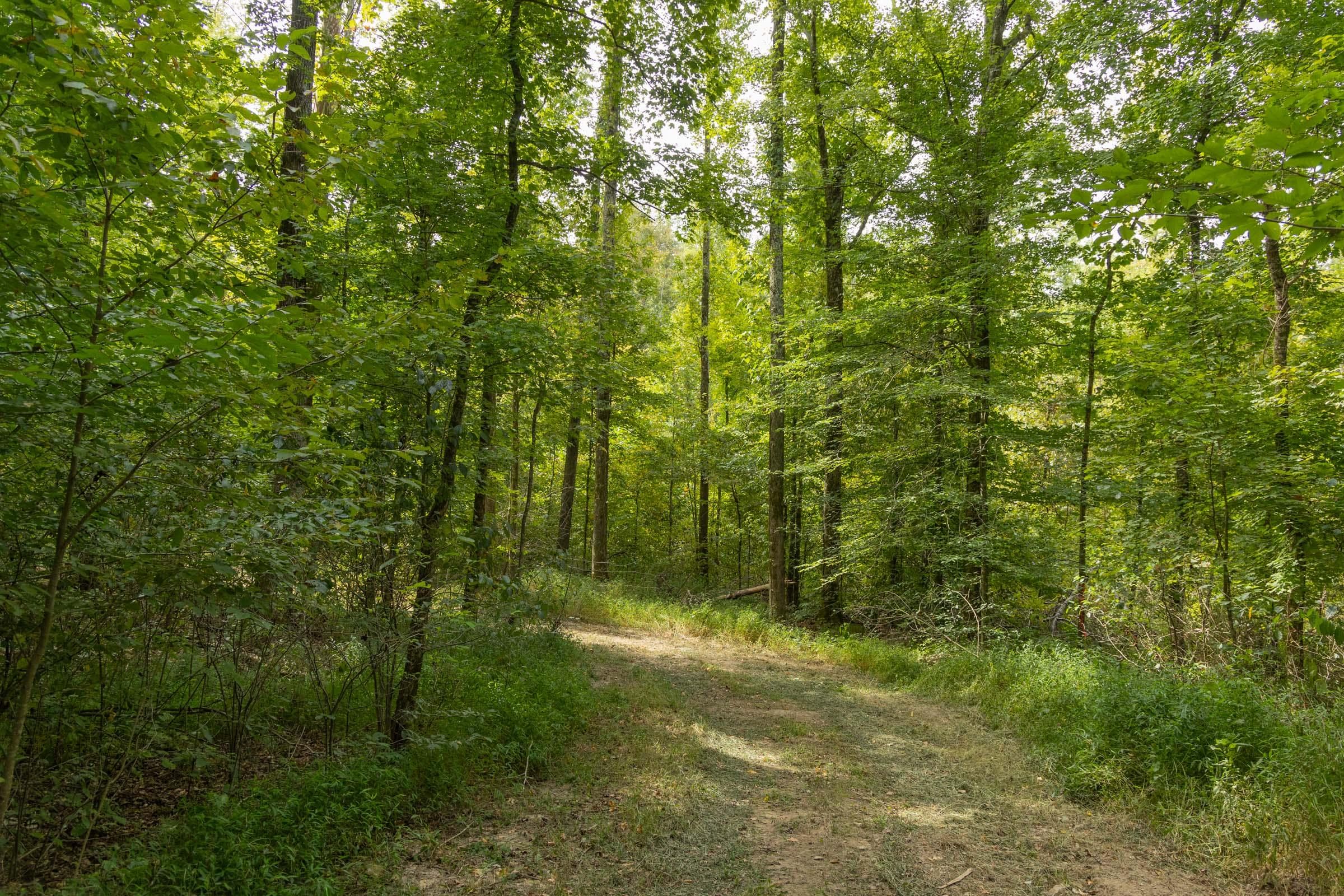 Property photo 148