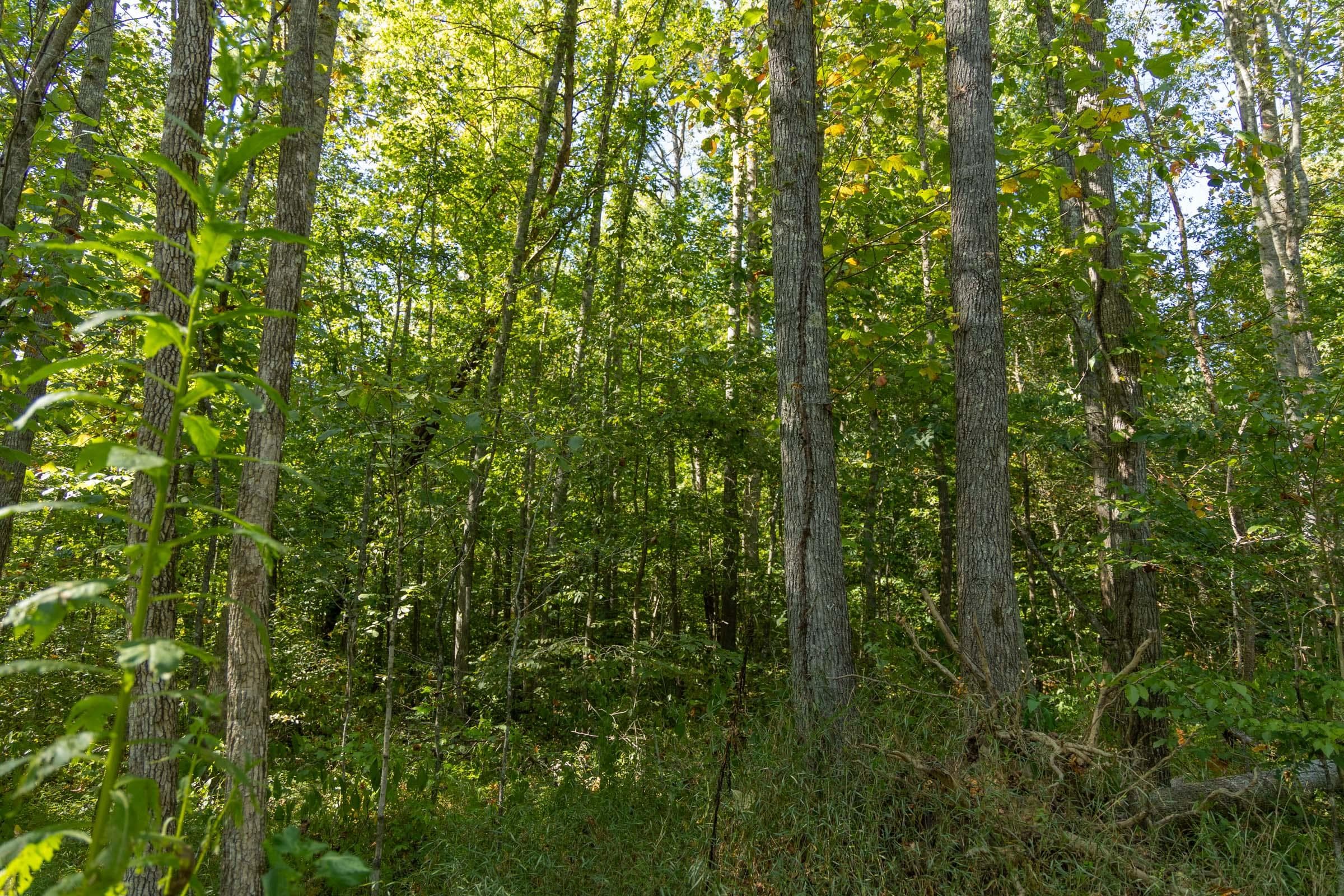Property photo 147