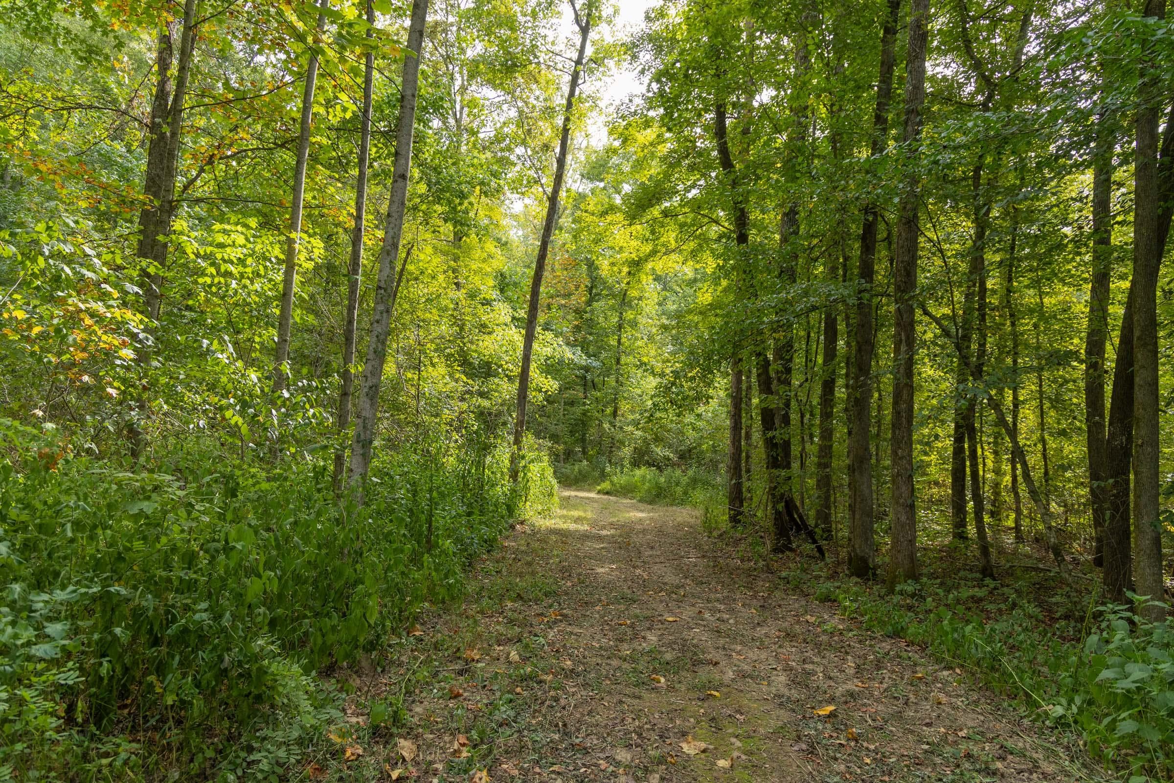Property photo 146