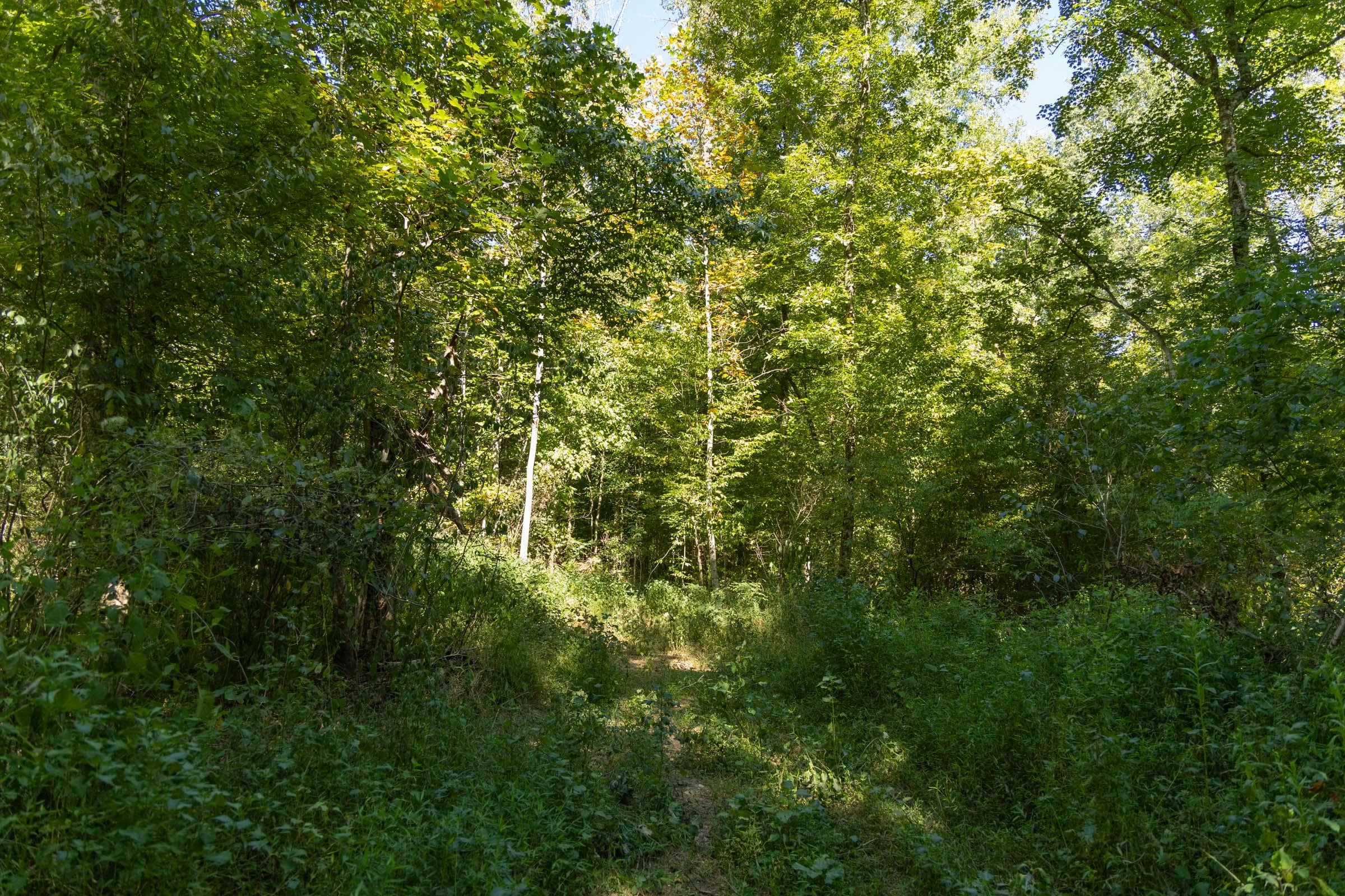 Property photo 150