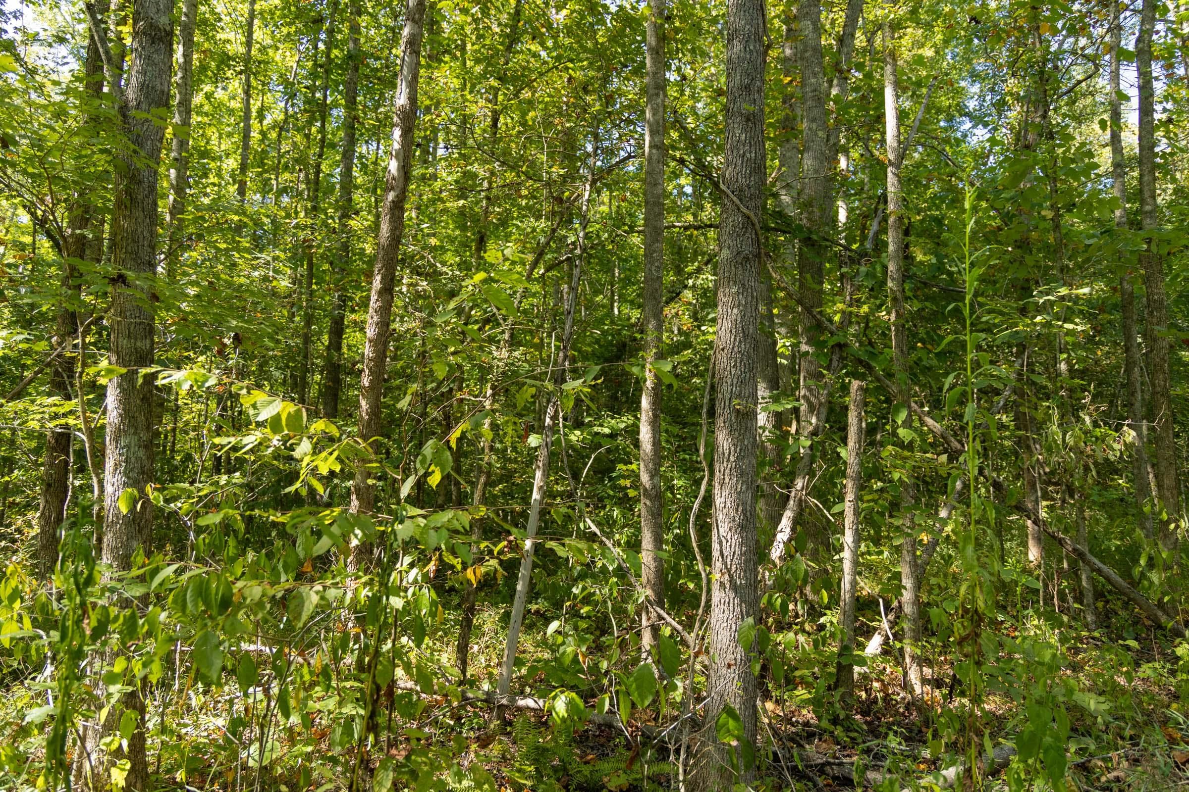 Property photo 149