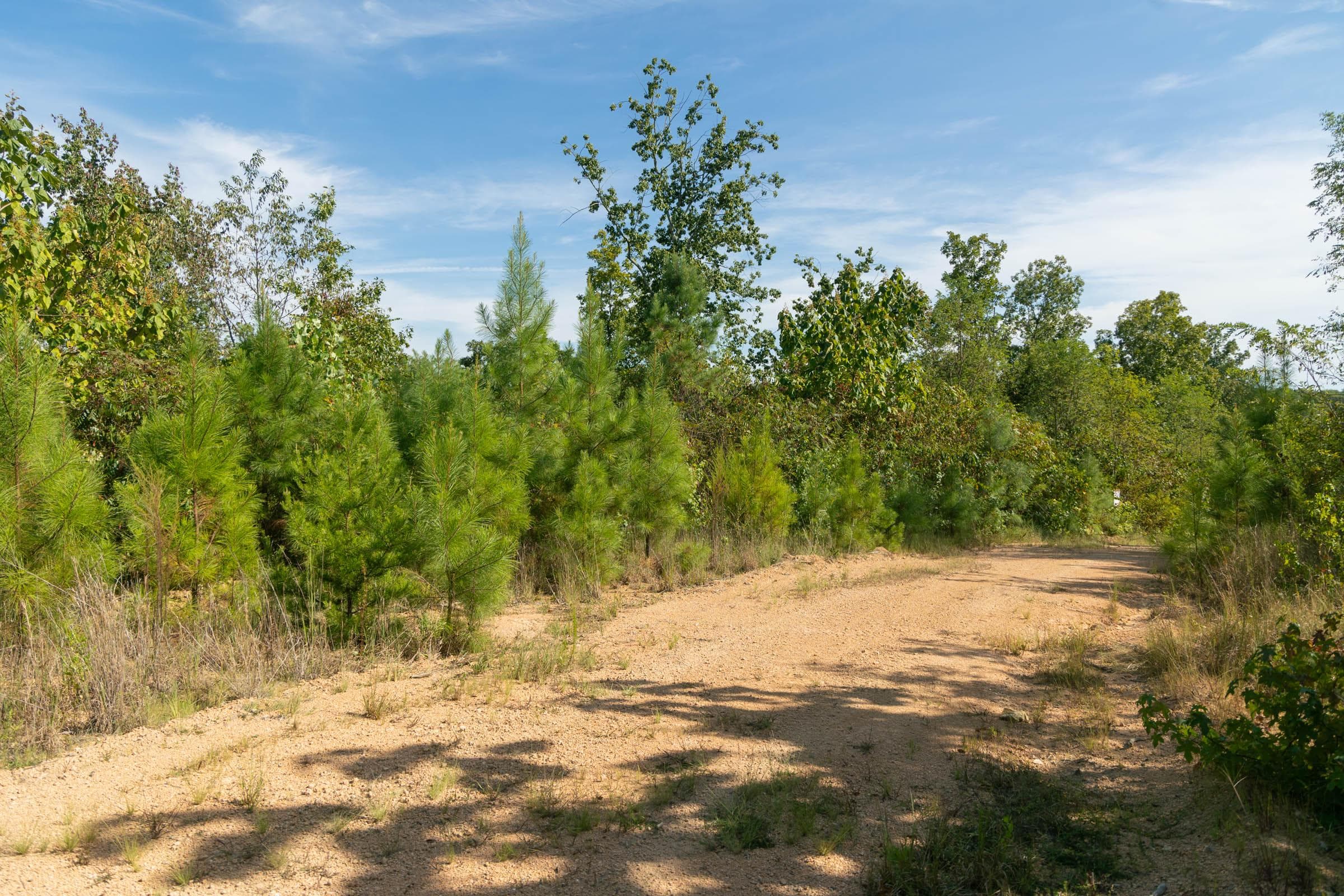 Property photo 140