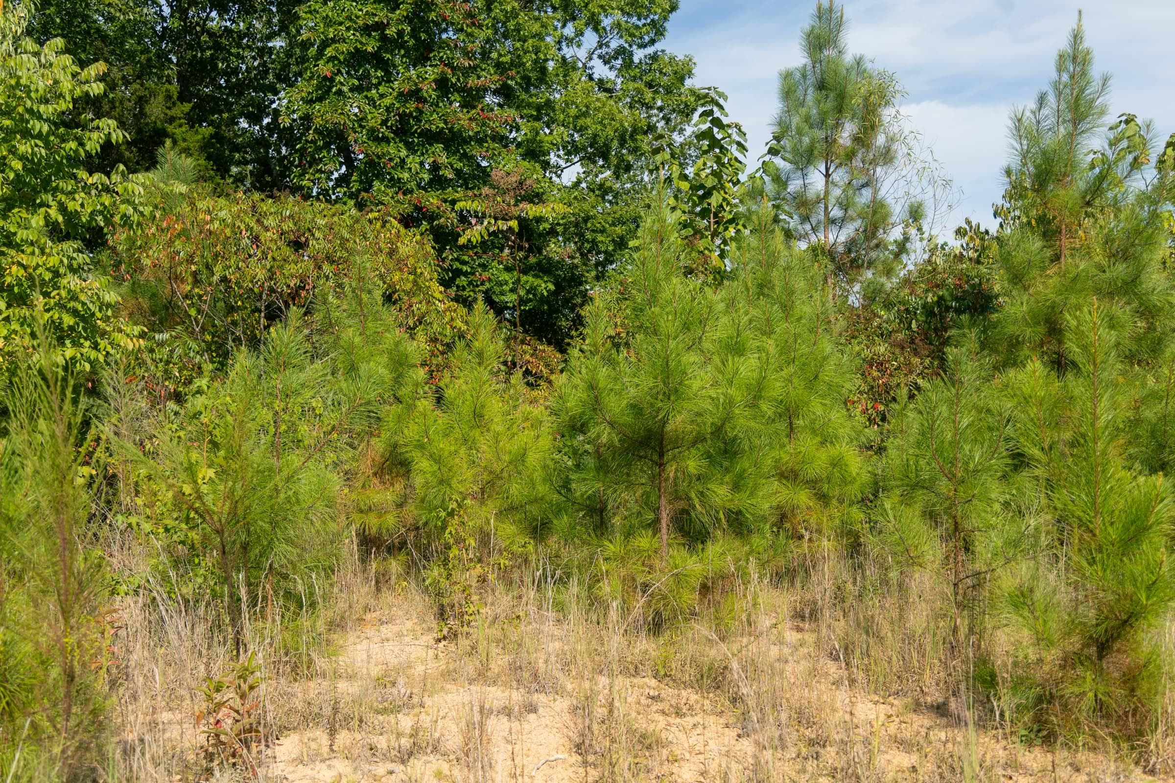 Property photo 142