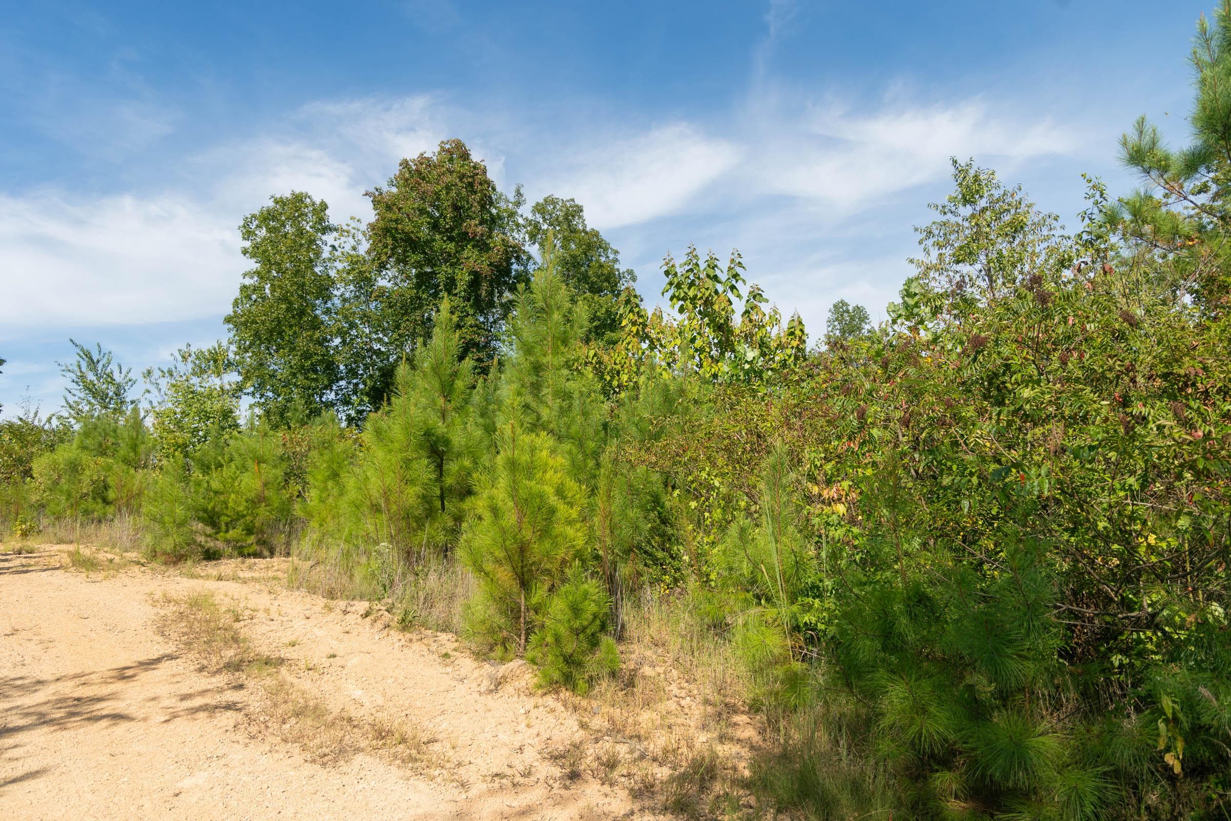 Property photo 145