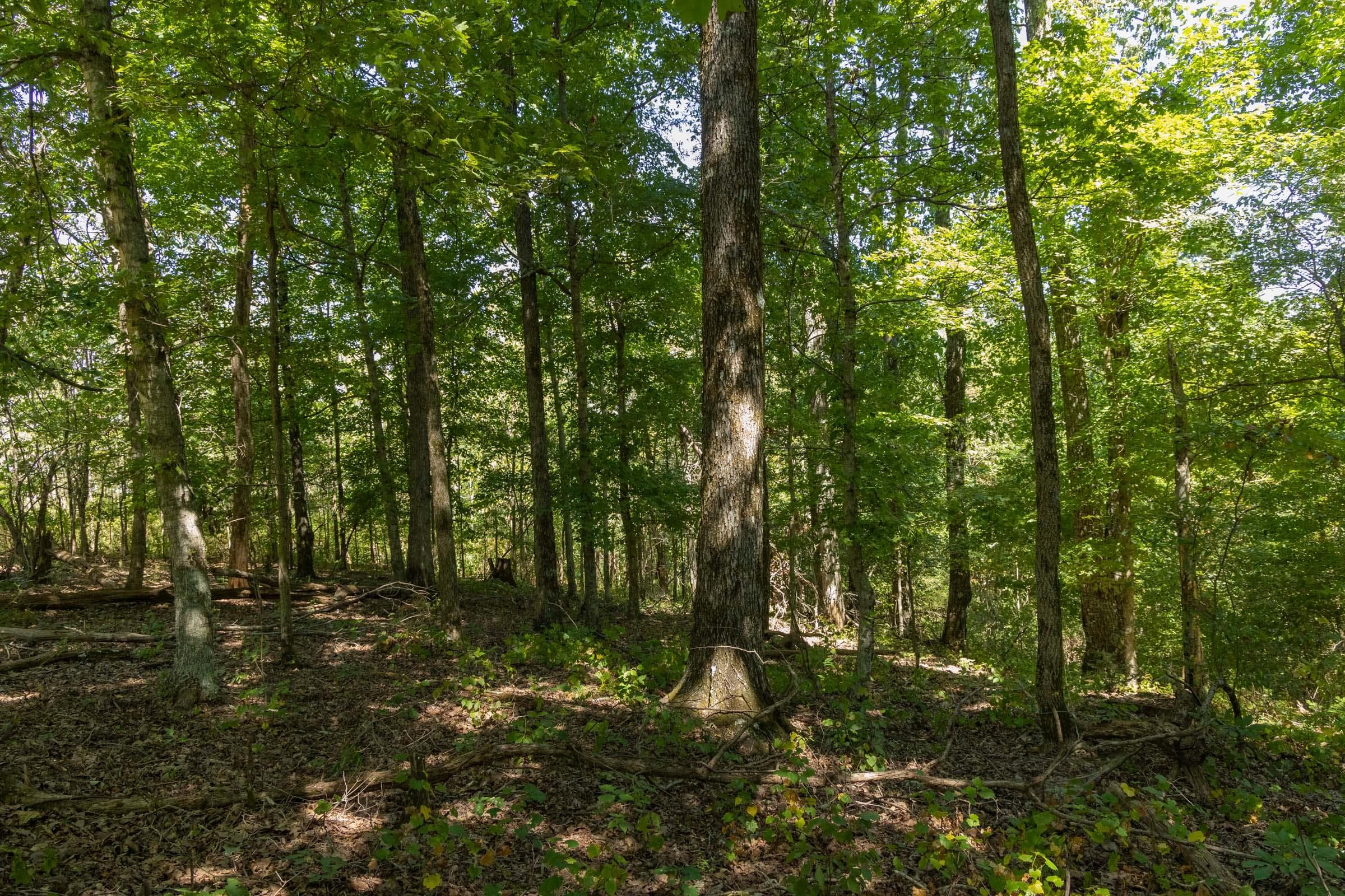 Property photo 135