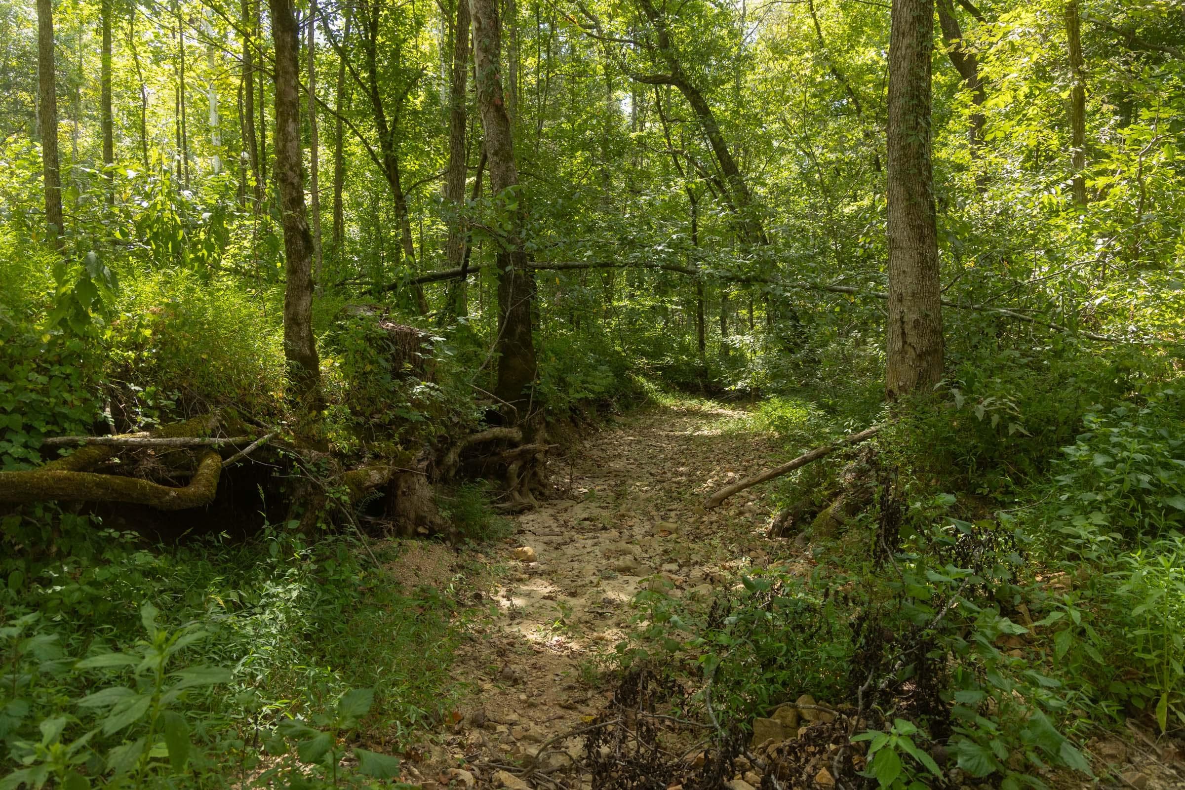 Property photo 139
