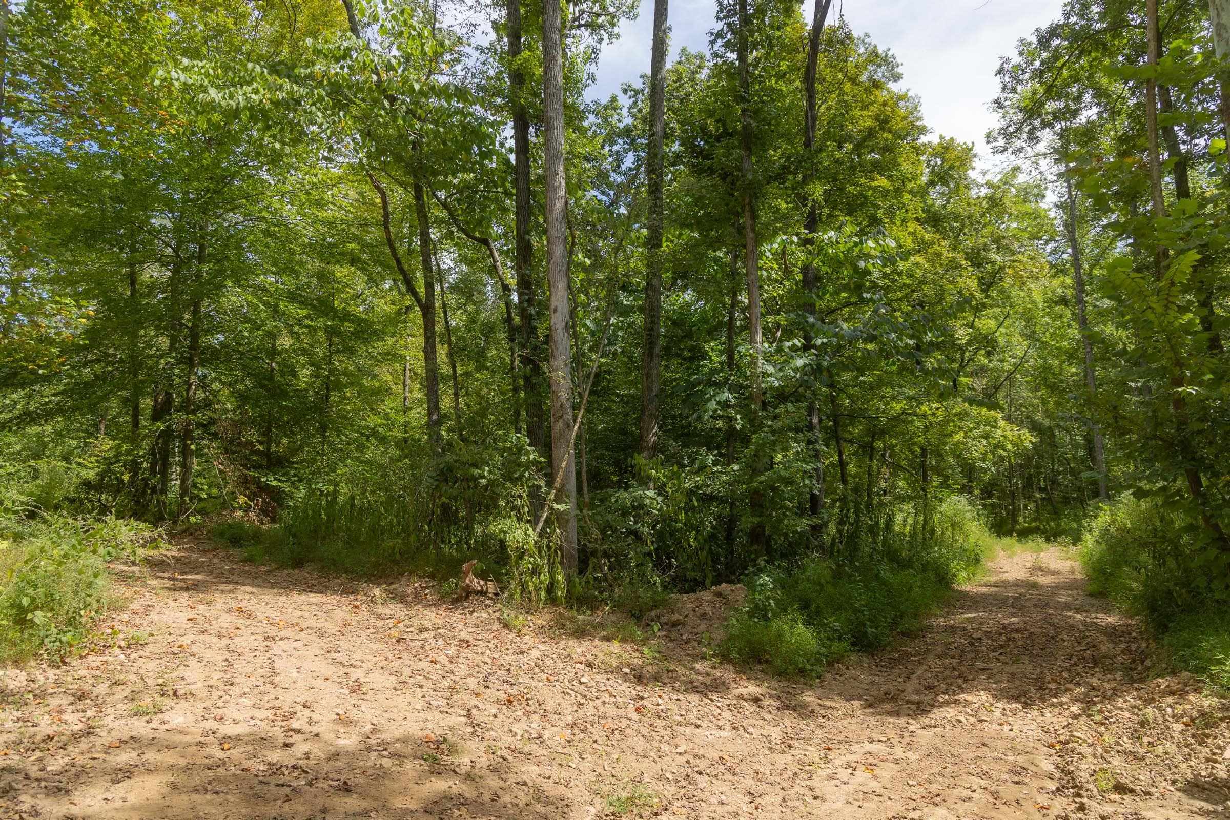 Property photo 138