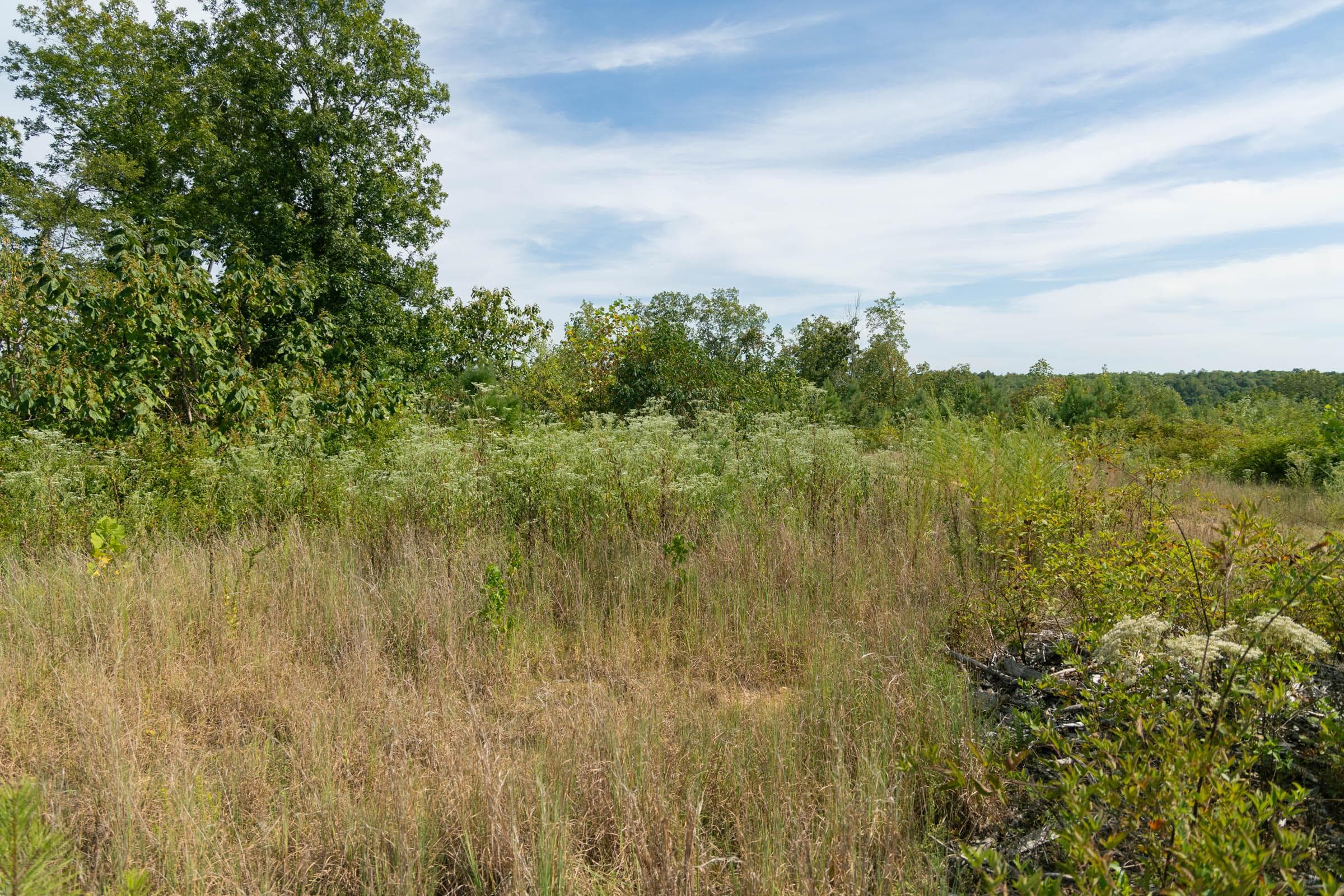 Property photo 131