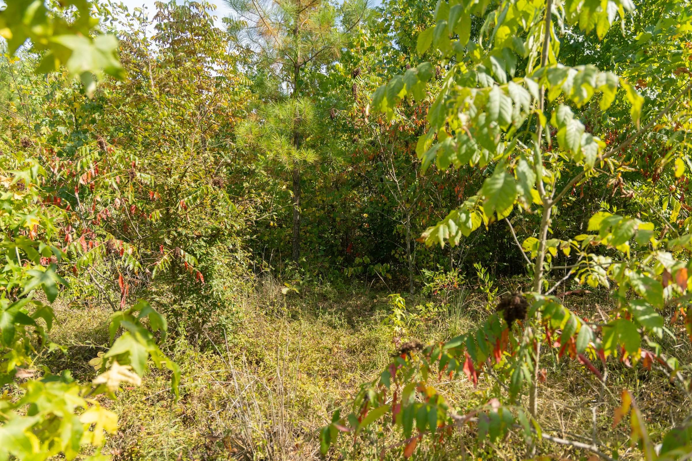 Property photo 128