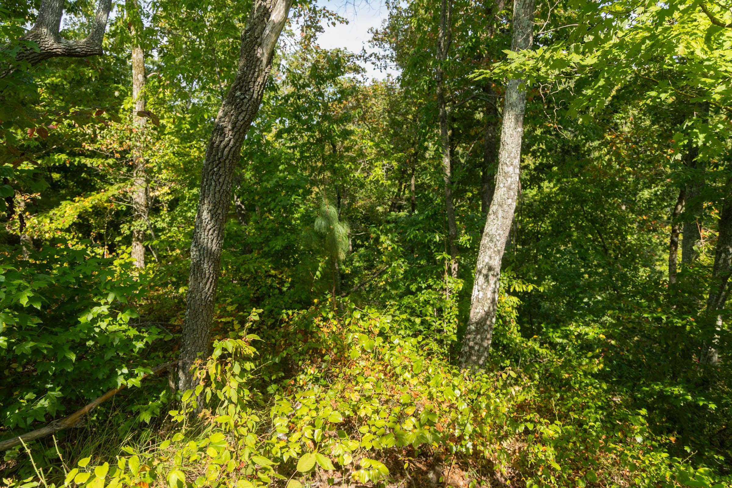 Property photo 126