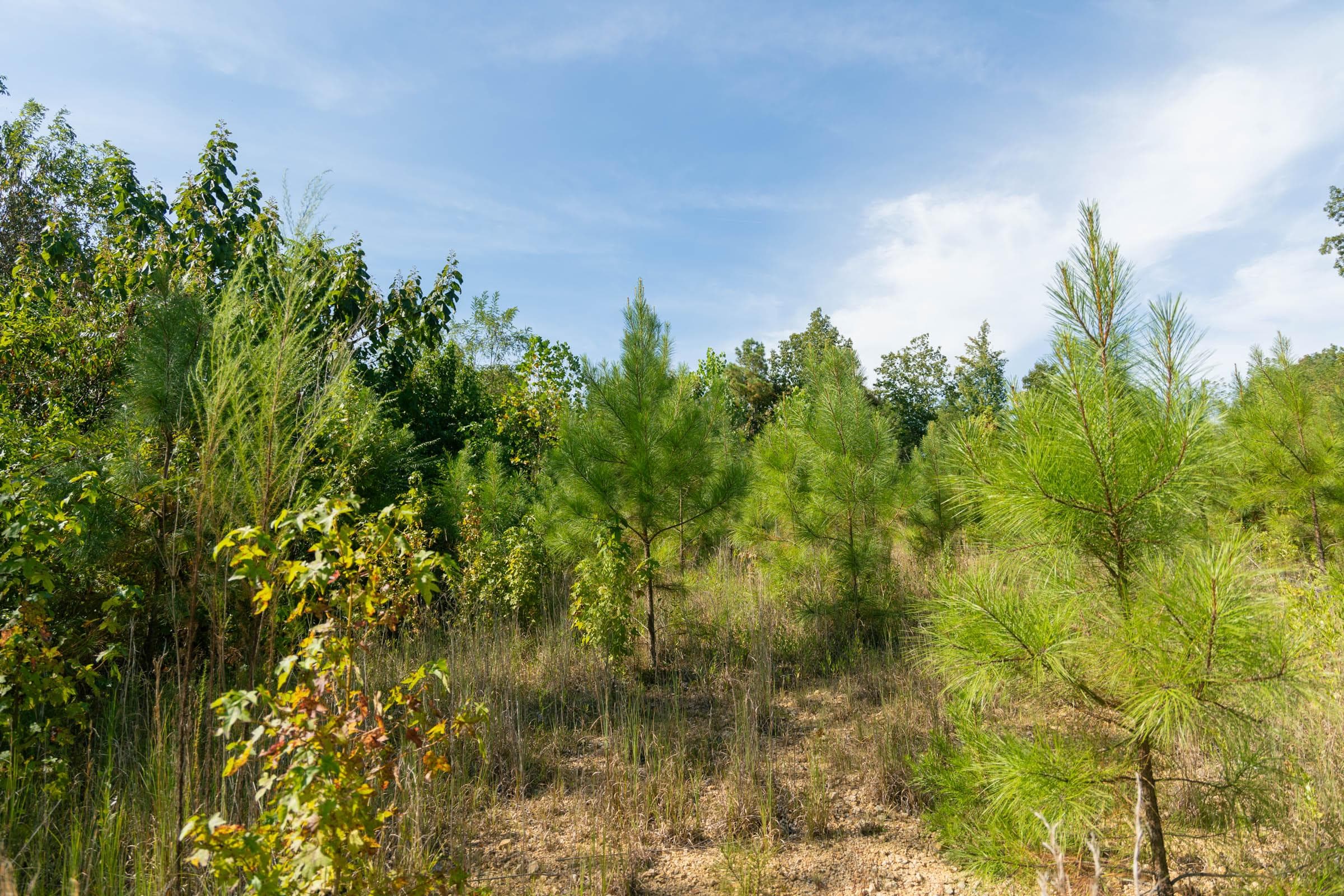 Property photo 123