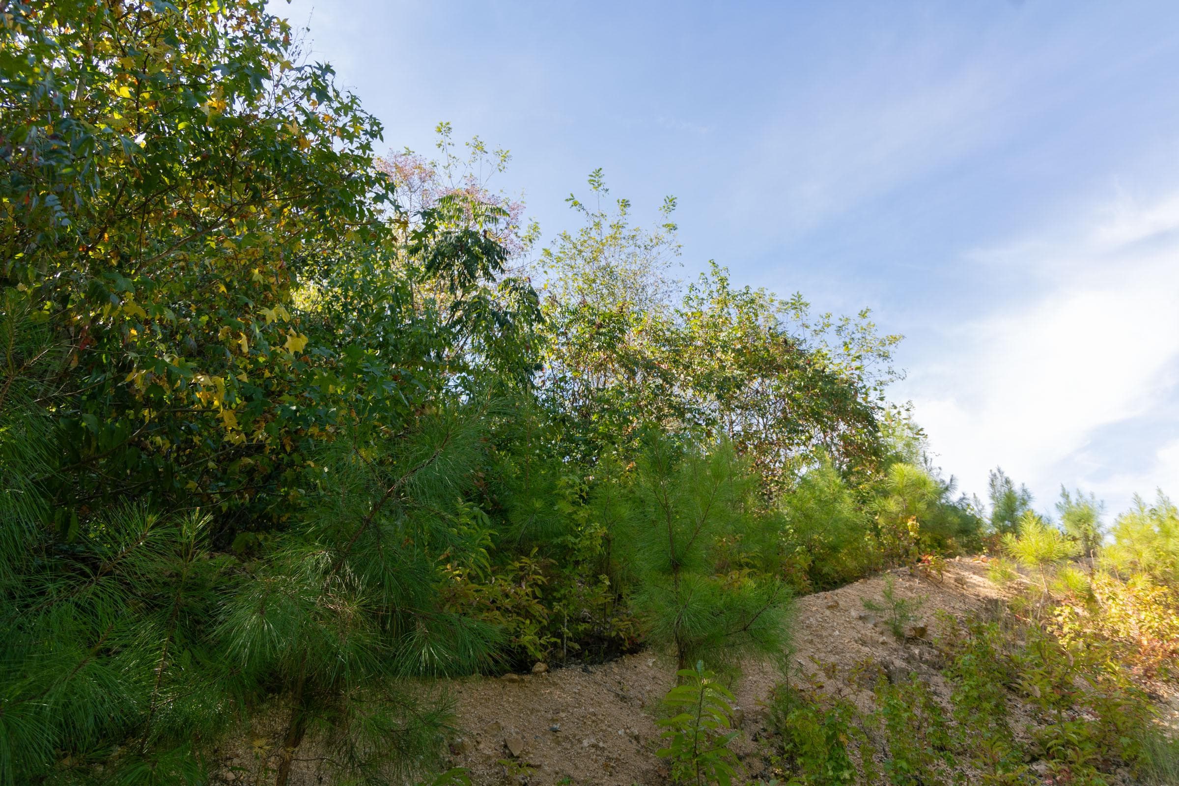 Property photo 125