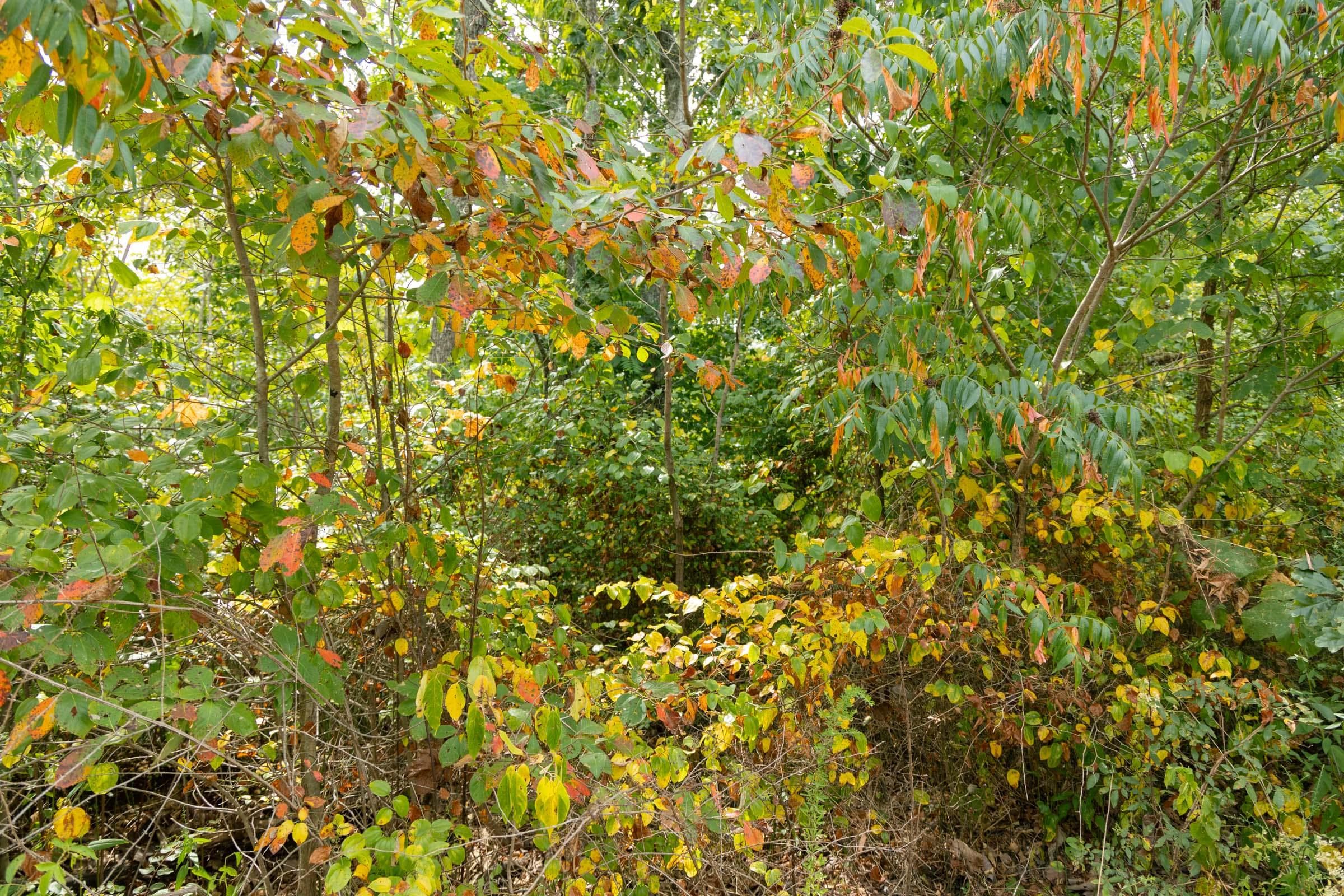 Property photo 119