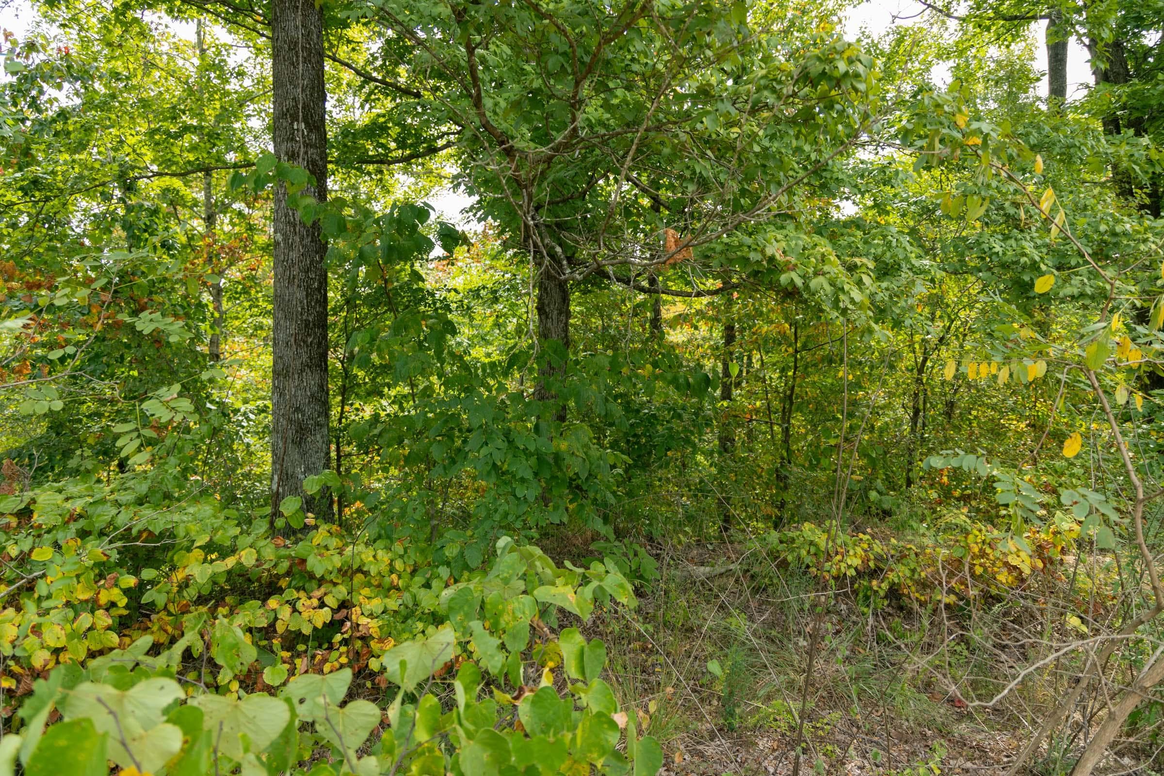 Property photo 116