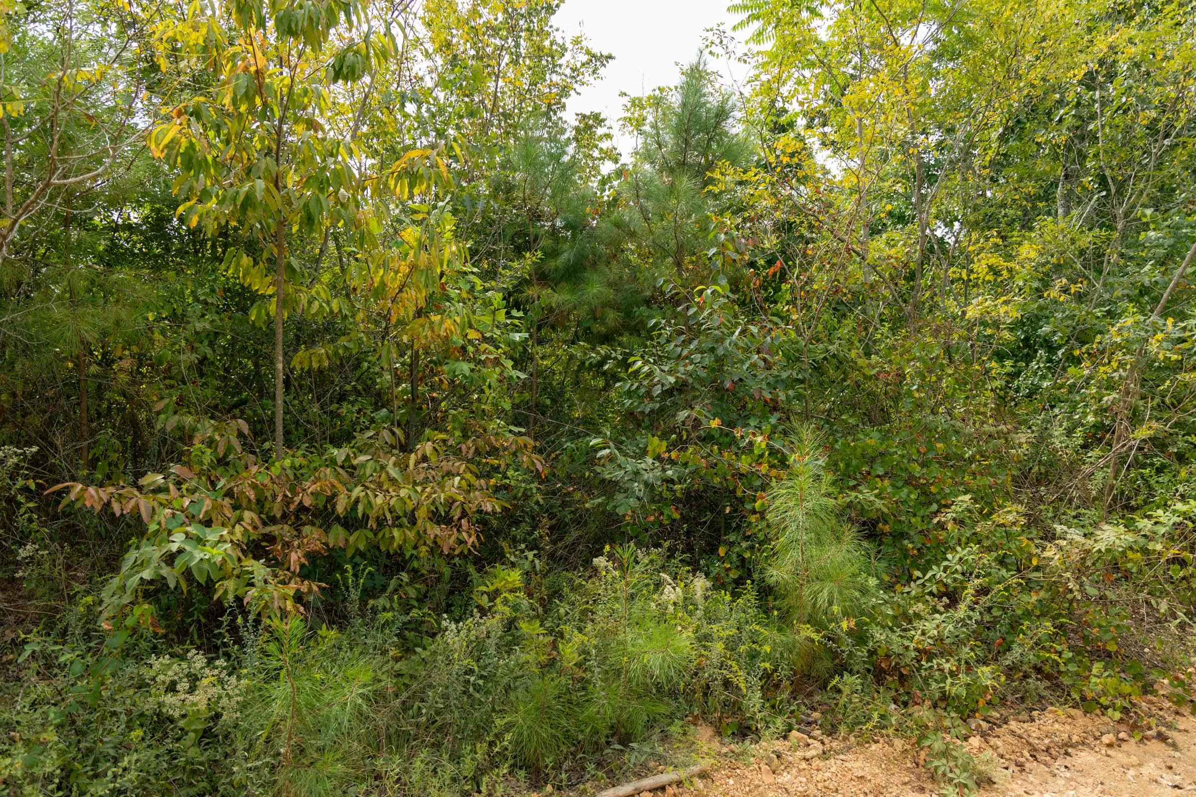 Property photo 121