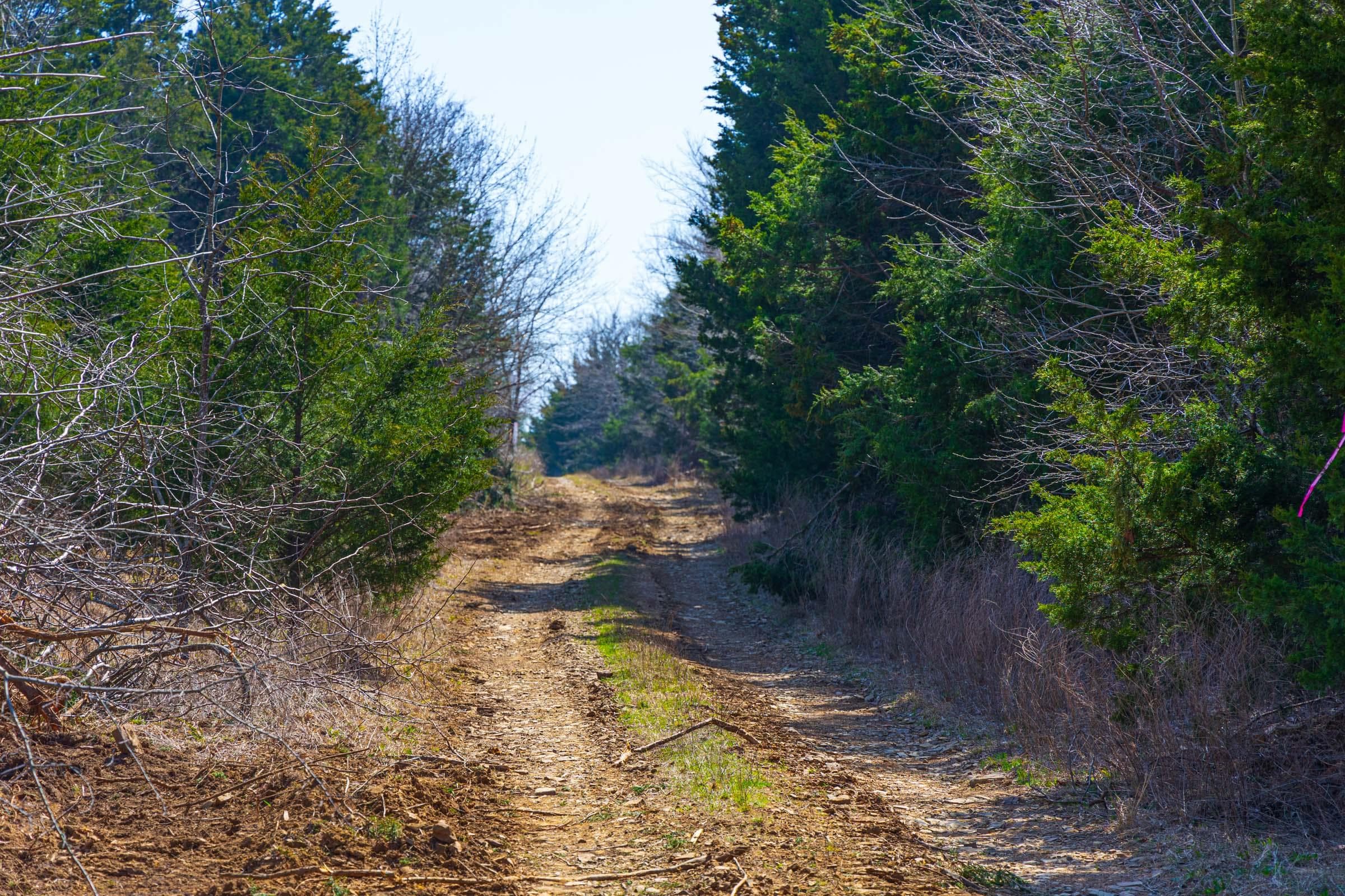 Reserves At Cattail Cove Phase I — Zero Credit Land owner financed land for sale in Pittsburg County, Oklahoma photo 28