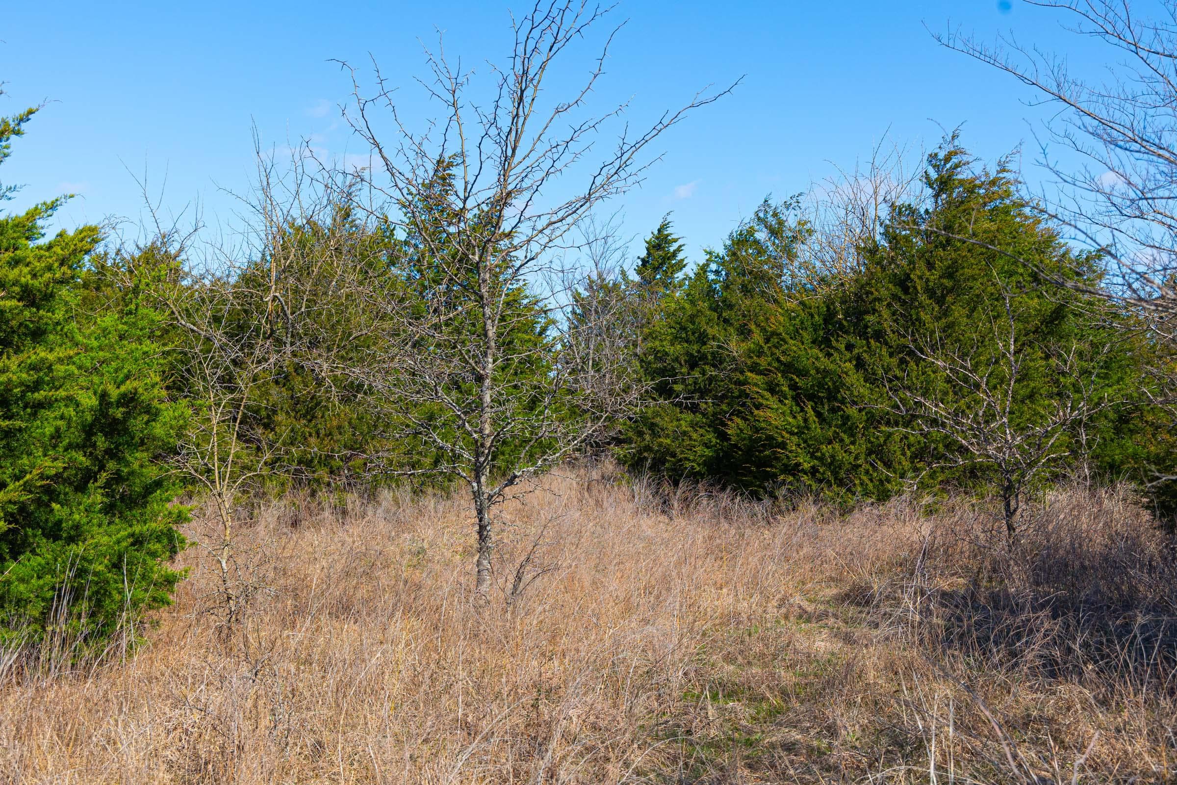 Reserves At Cattail Cove Phase I — Zero Credit Land owner financed land for sale in Pittsburg County, Oklahoma photo 23