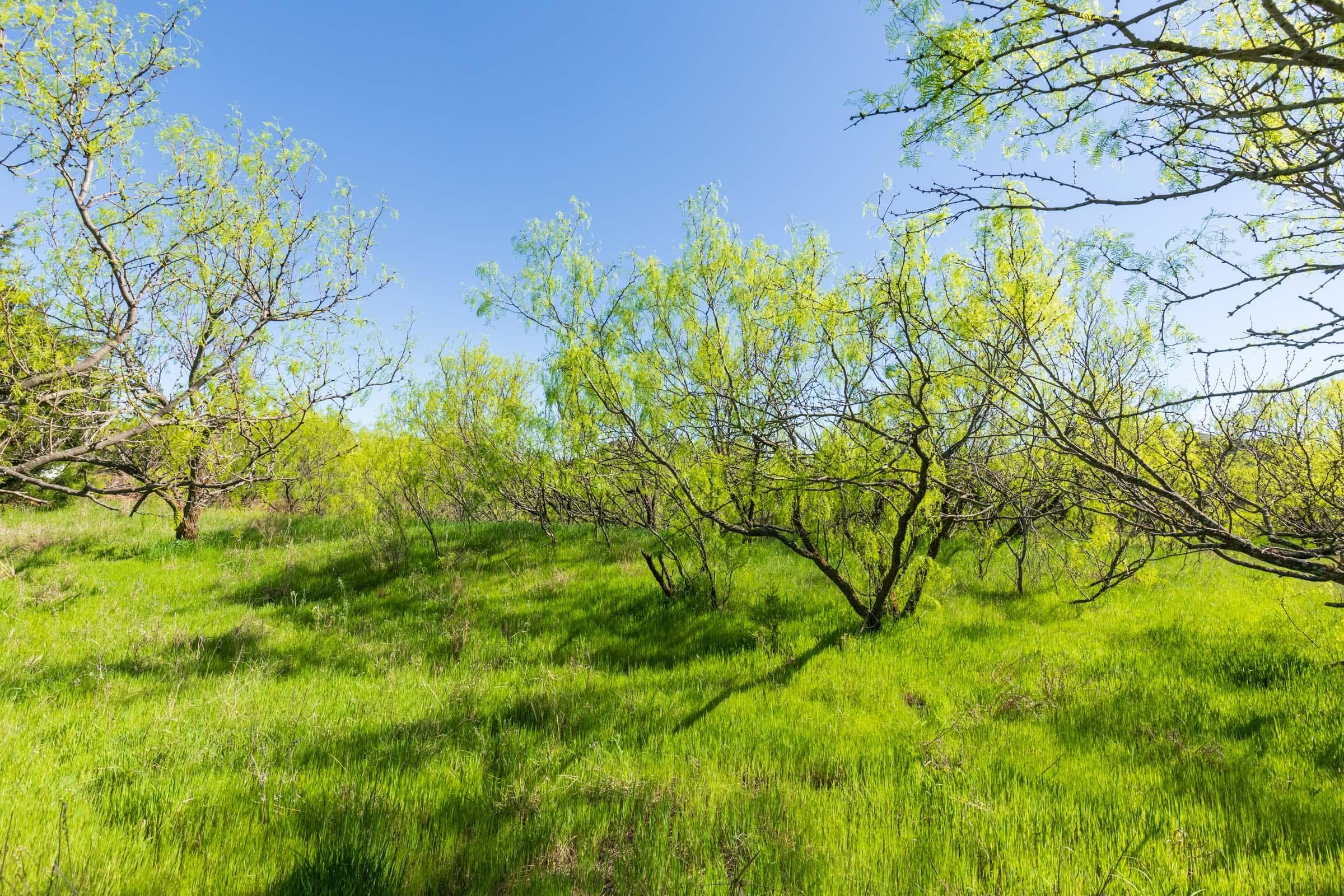 Hackberry Fields  — Zero Credit Land owner financed land for sale in Greer County, Oklahoma photo 41