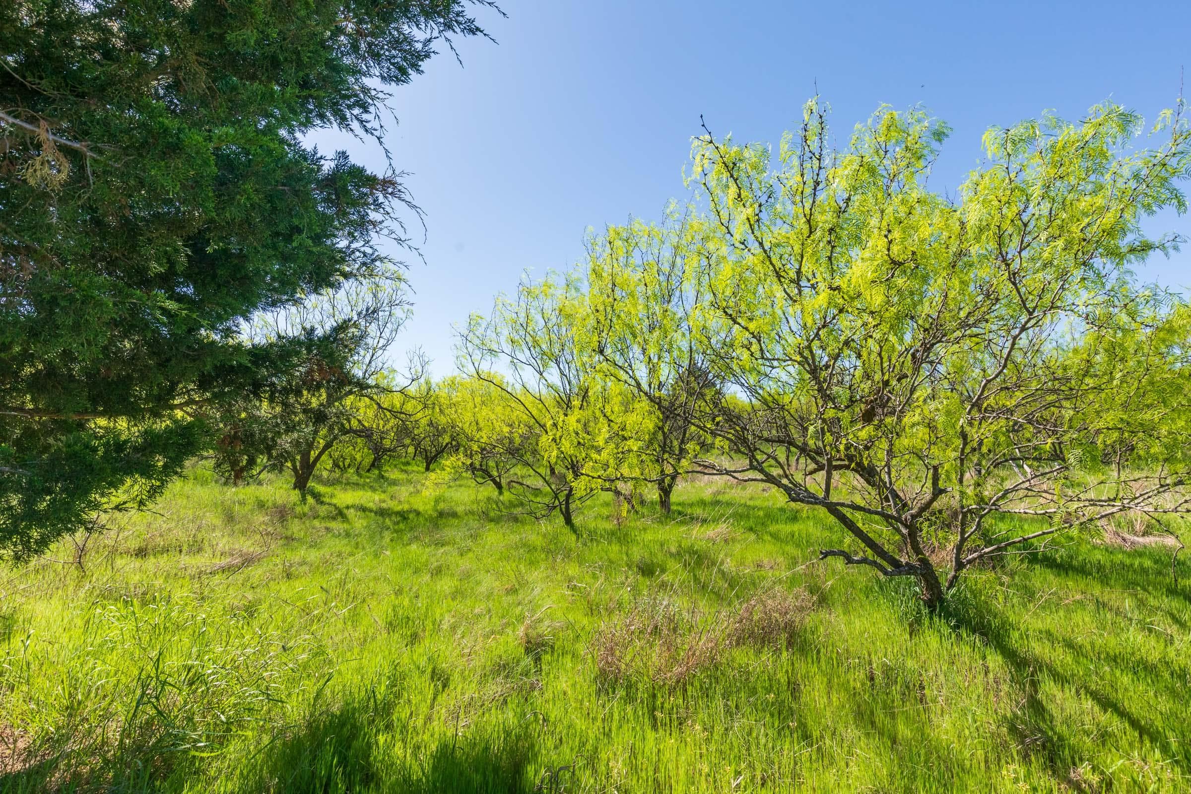 Hackberry Fields  — Zero Credit Land owner financed land for sale in Greer County, Oklahoma photo 39