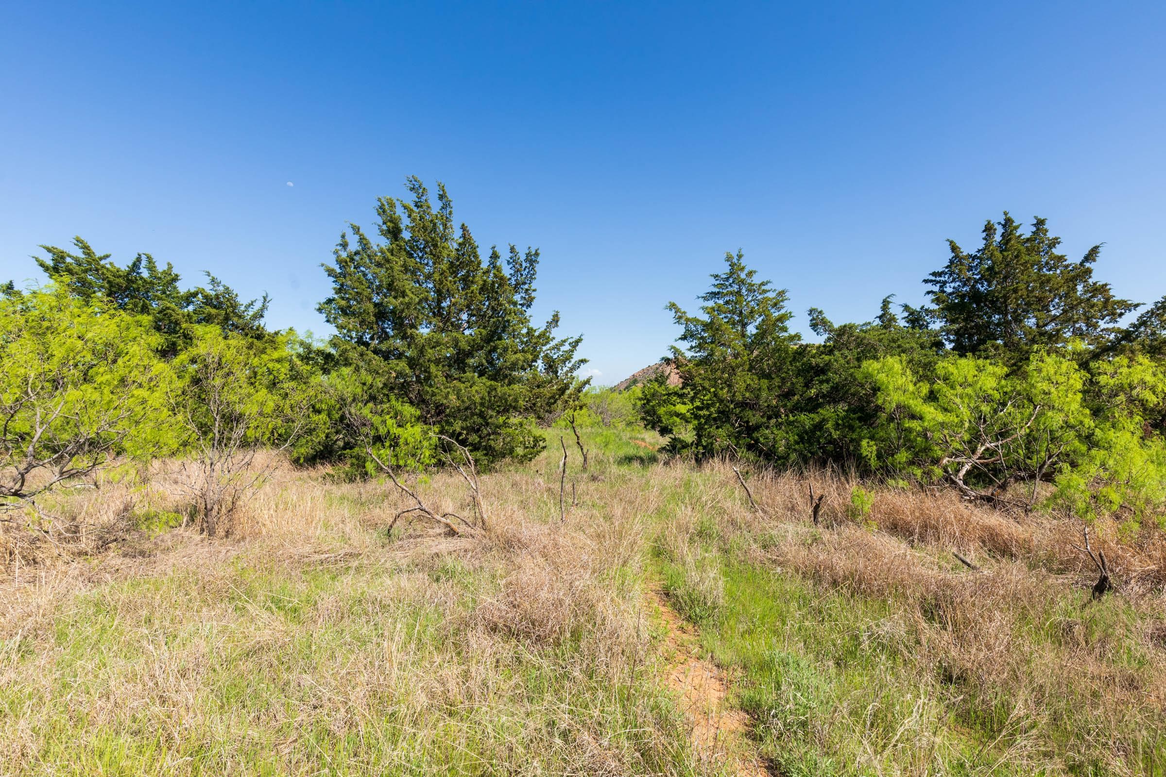 Hackberry Fields  — Zero Credit Land owner financed land for sale in Greer County, Oklahoma photo 31