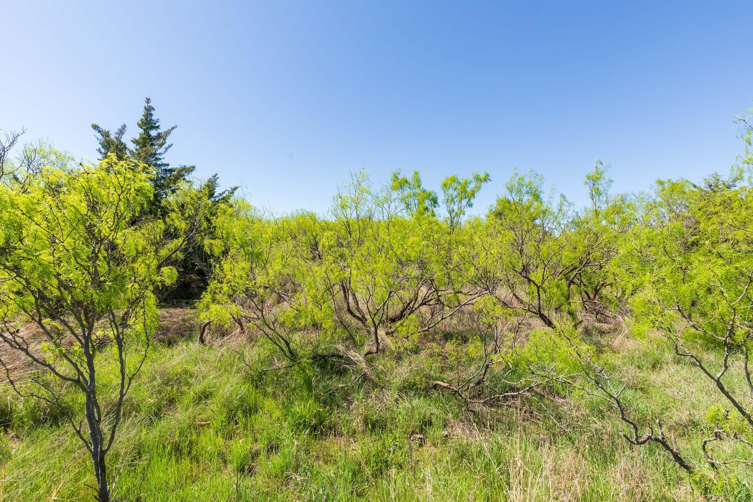 Hackberry Fields  — Zero Credit Land owner financed land for sale in Greer County, Oklahoma photo 32
