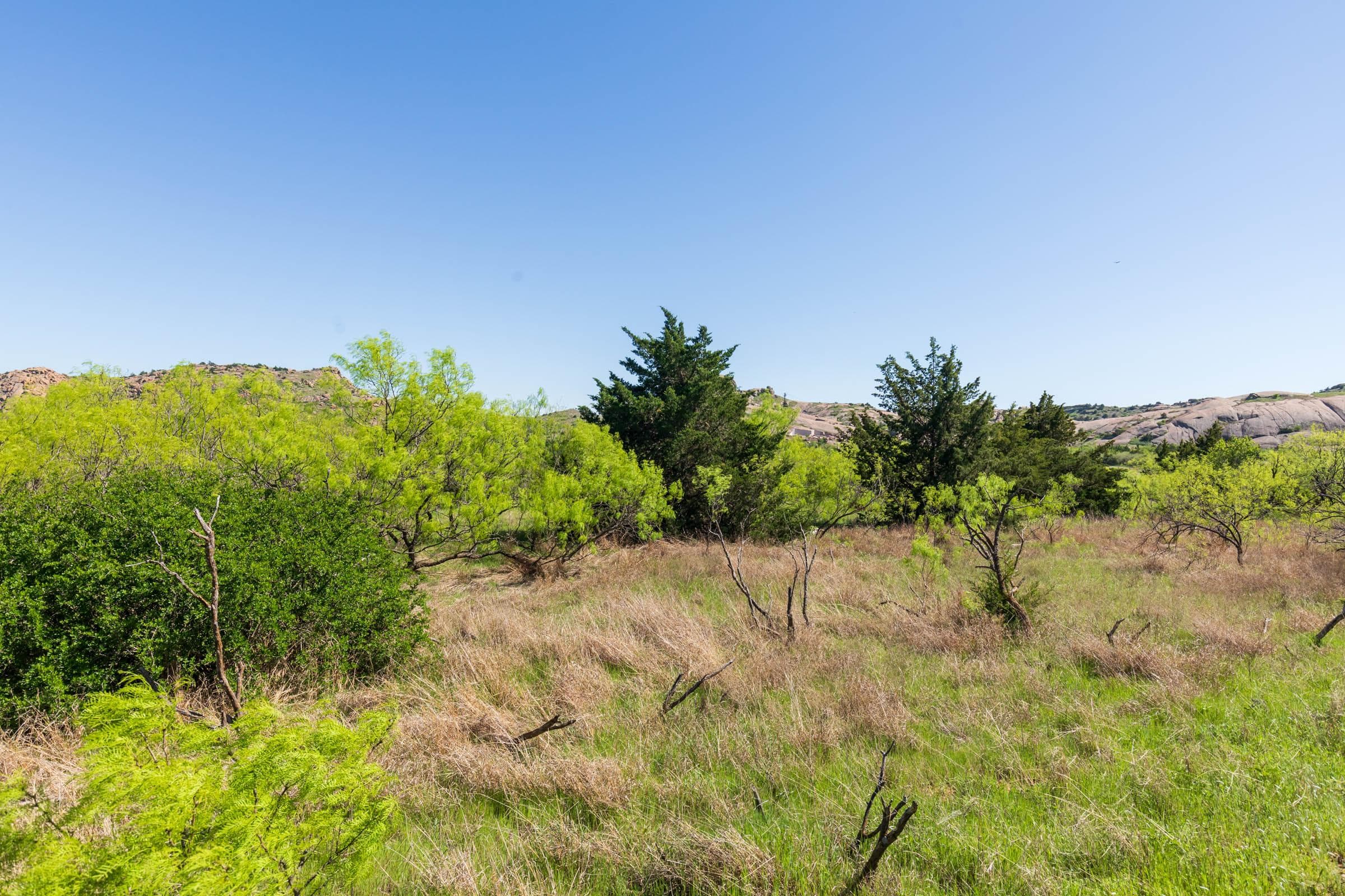 Hackberry Fields  — Zero Credit Land owner financed land for sale in Greer County, Oklahoma photo 35