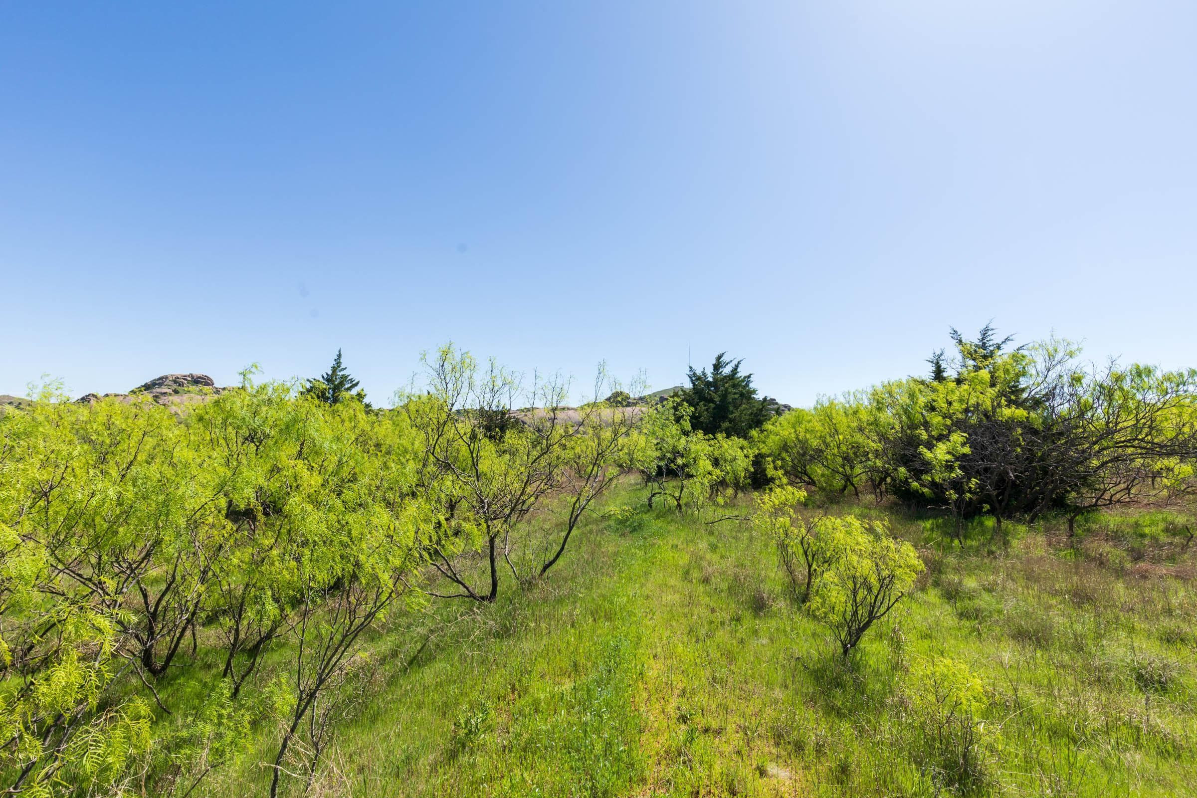 Hackberry Fields  — Zero Credit Land owner financed land for sale in Greer County, Oklahoma photo 36