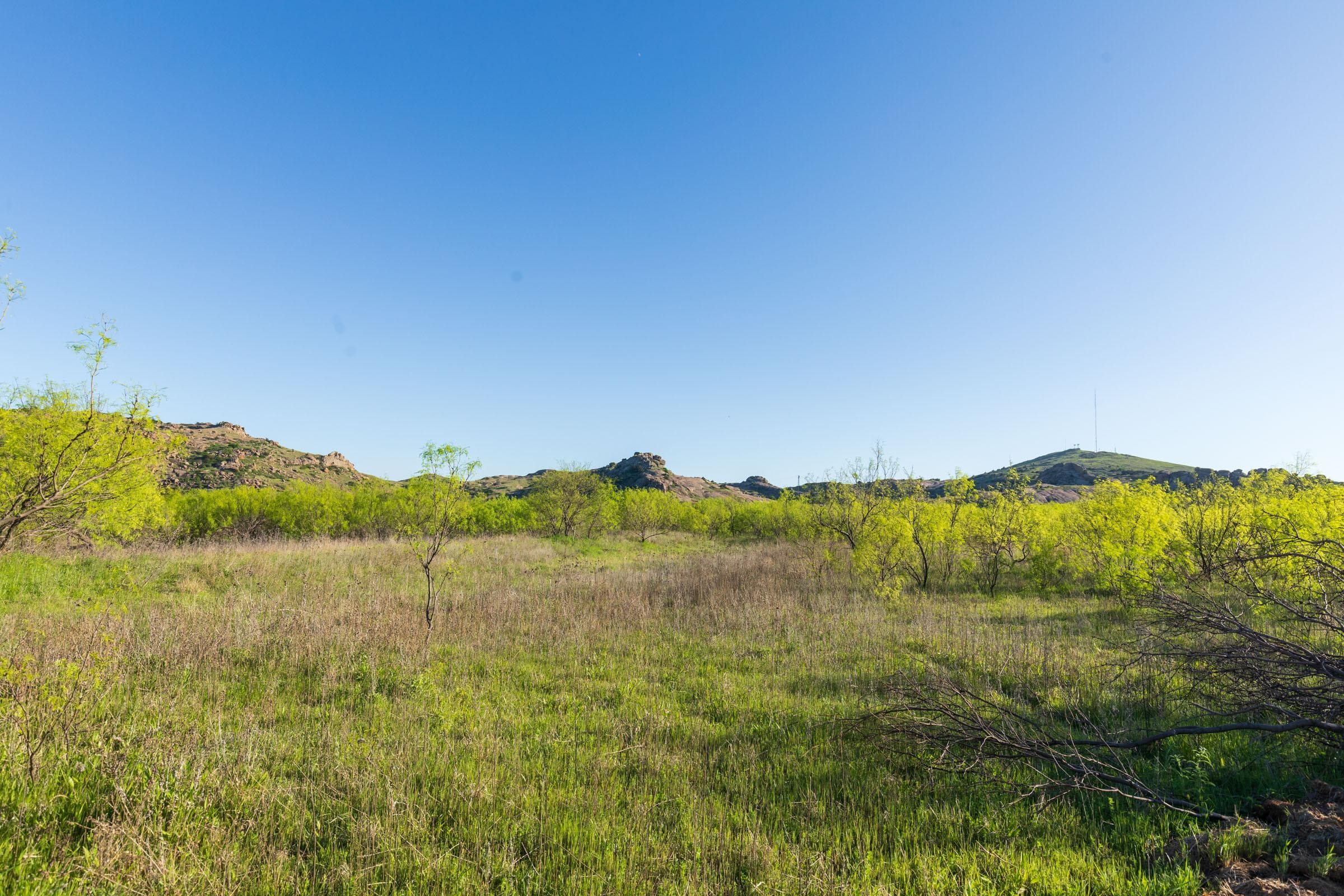Hackberry Fields  — Zero Credit Land owner financed land for sale in Greer County, Oklahoma photo 27