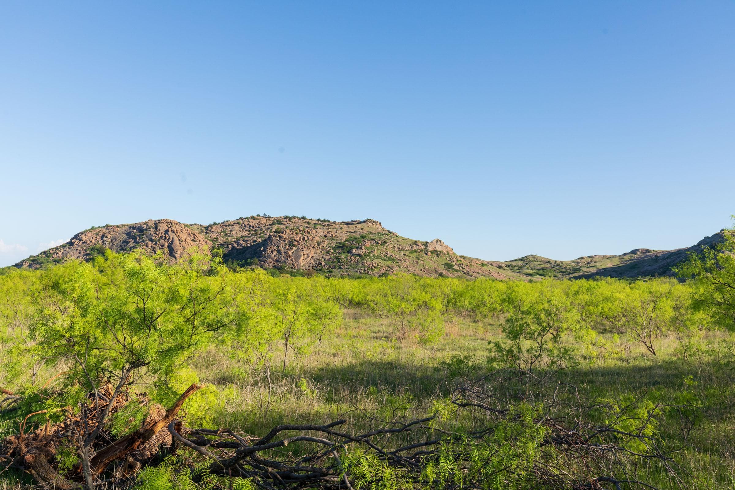 Hackberry Fields  — Zero Credit Land owner financed land for sale in Greer County, Oklahoma photo 28