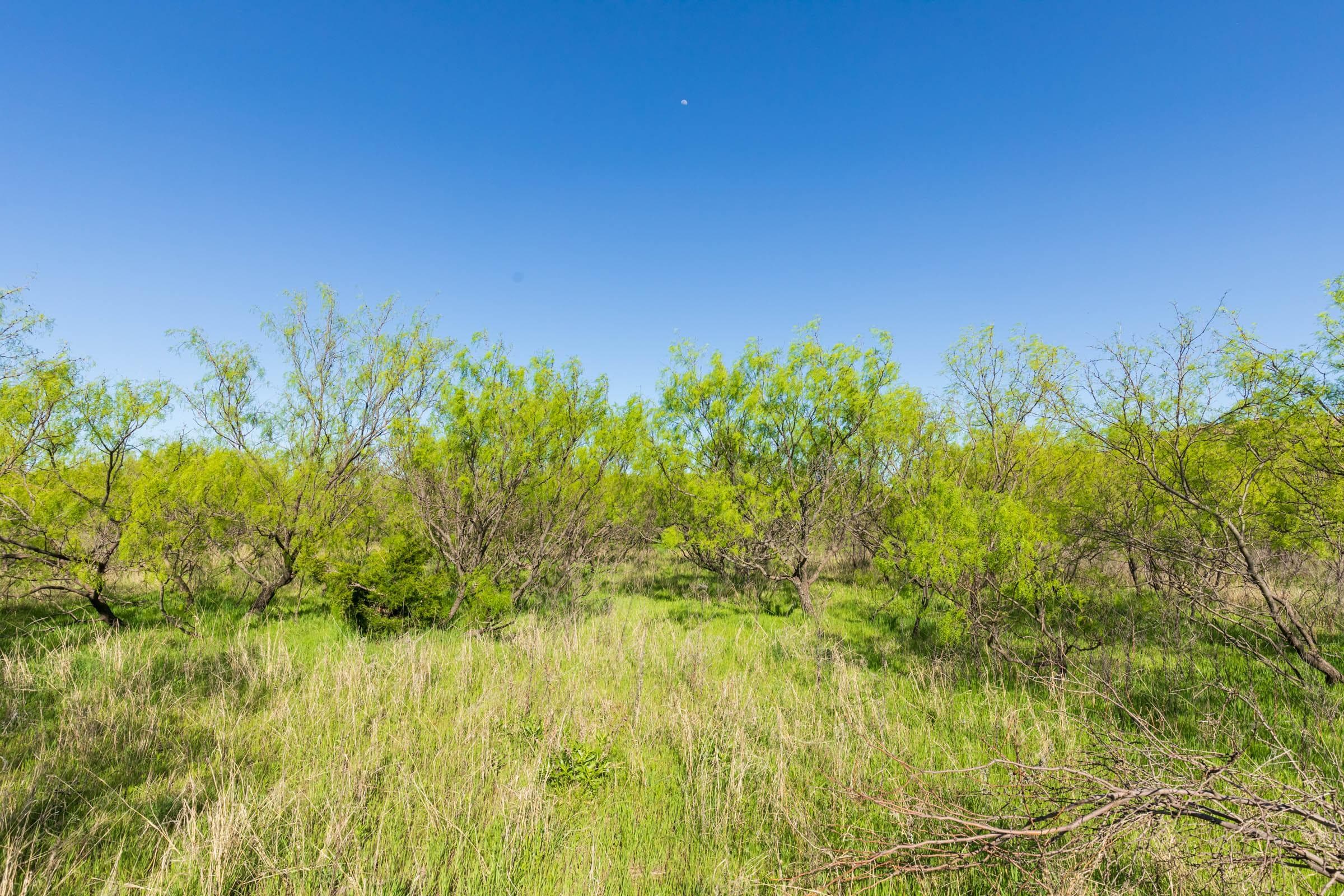 Hackberry Fields  — Zero Credit Land owner financed land for sale in Greer County, Oklahoma photo 29