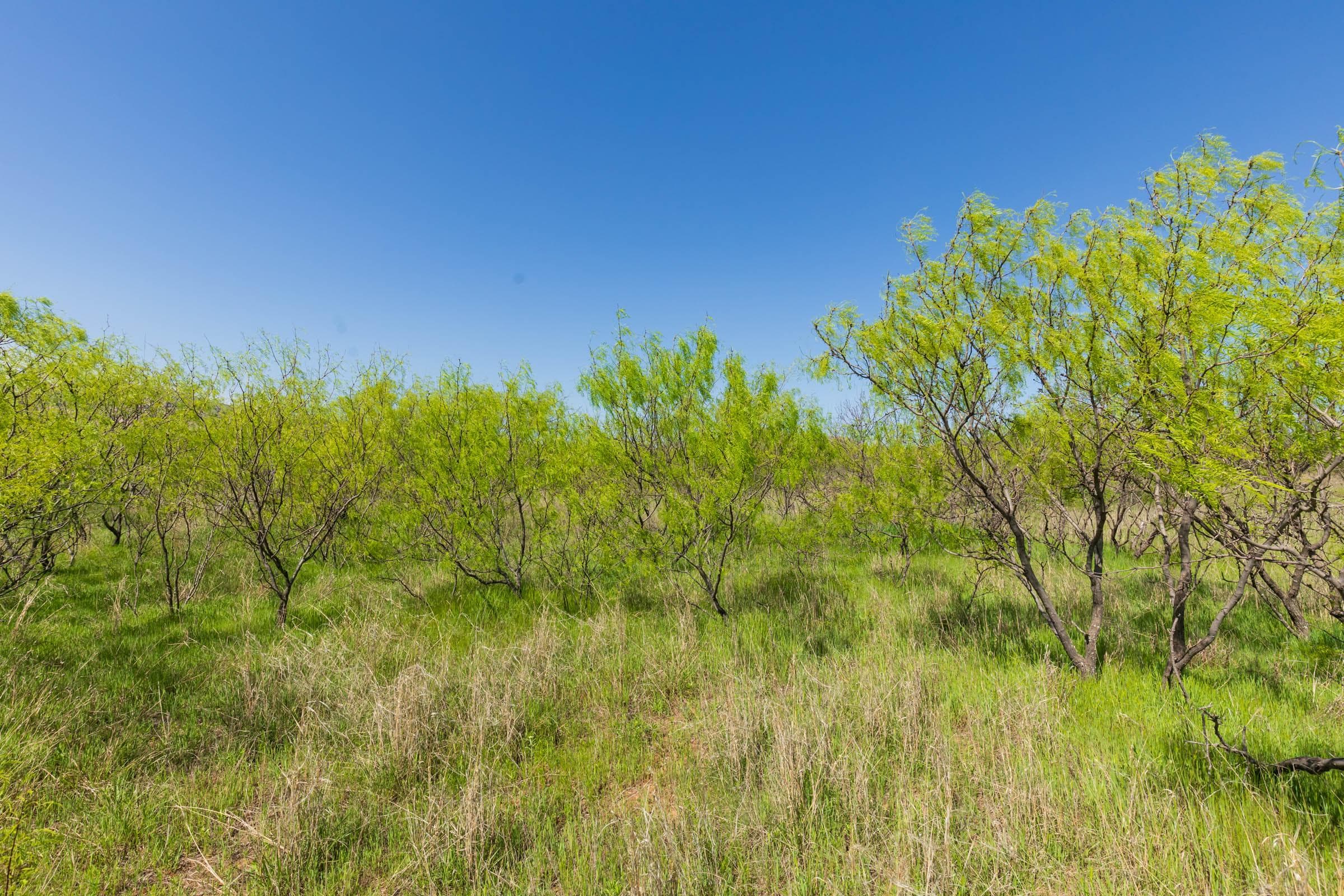 Hackberry Fields  — Zero Credit Land owner financed land for sale in Greer County, Oklahoma photo 25