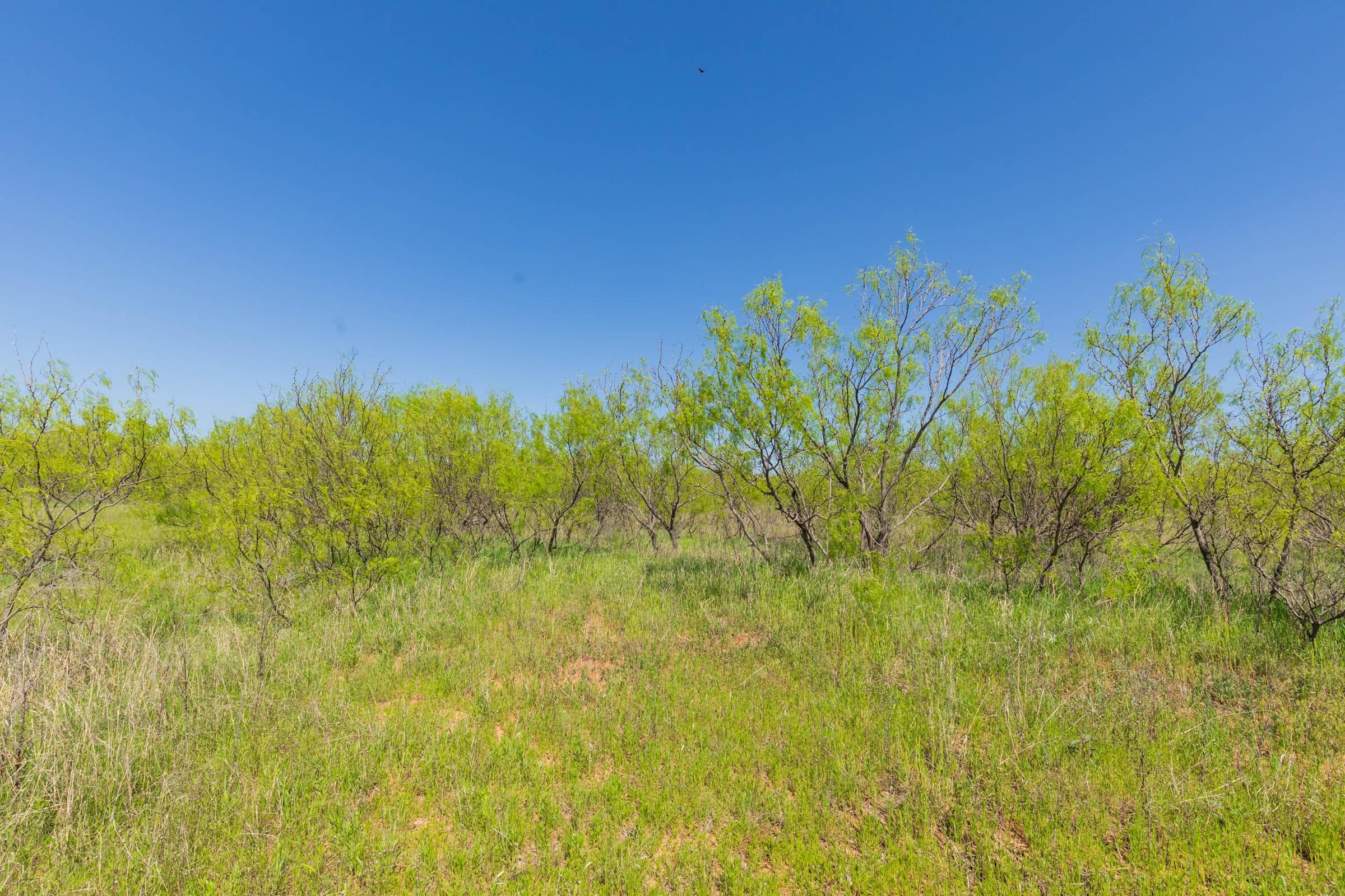 Hackberry Fields  — Zero Credit Land owner financed land for sale in Greer County, Oklahoma photo 21