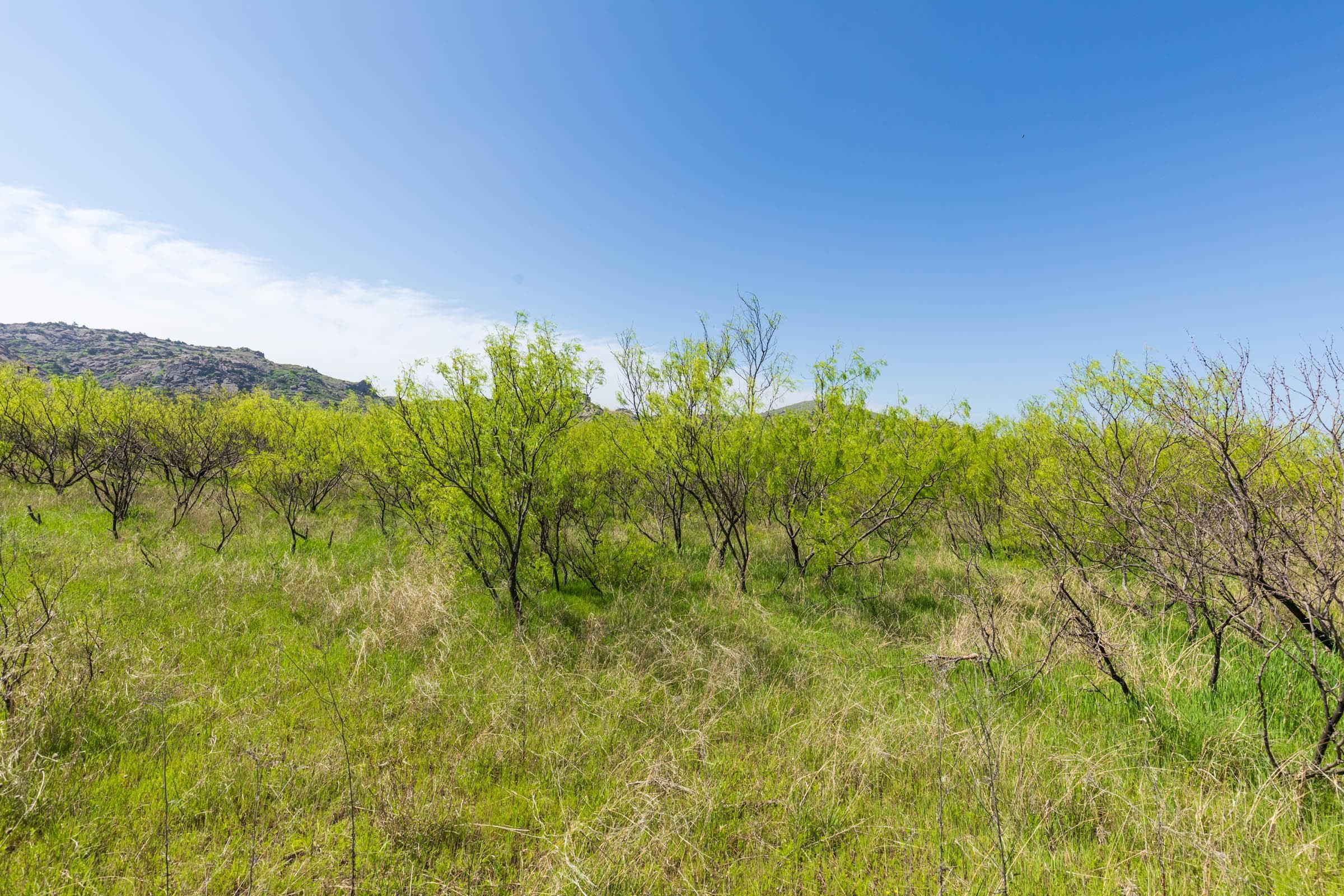 Hackberry Fields  — Zero Credit Land owner financed land for sale in Greer County, Oklahoma photo 24