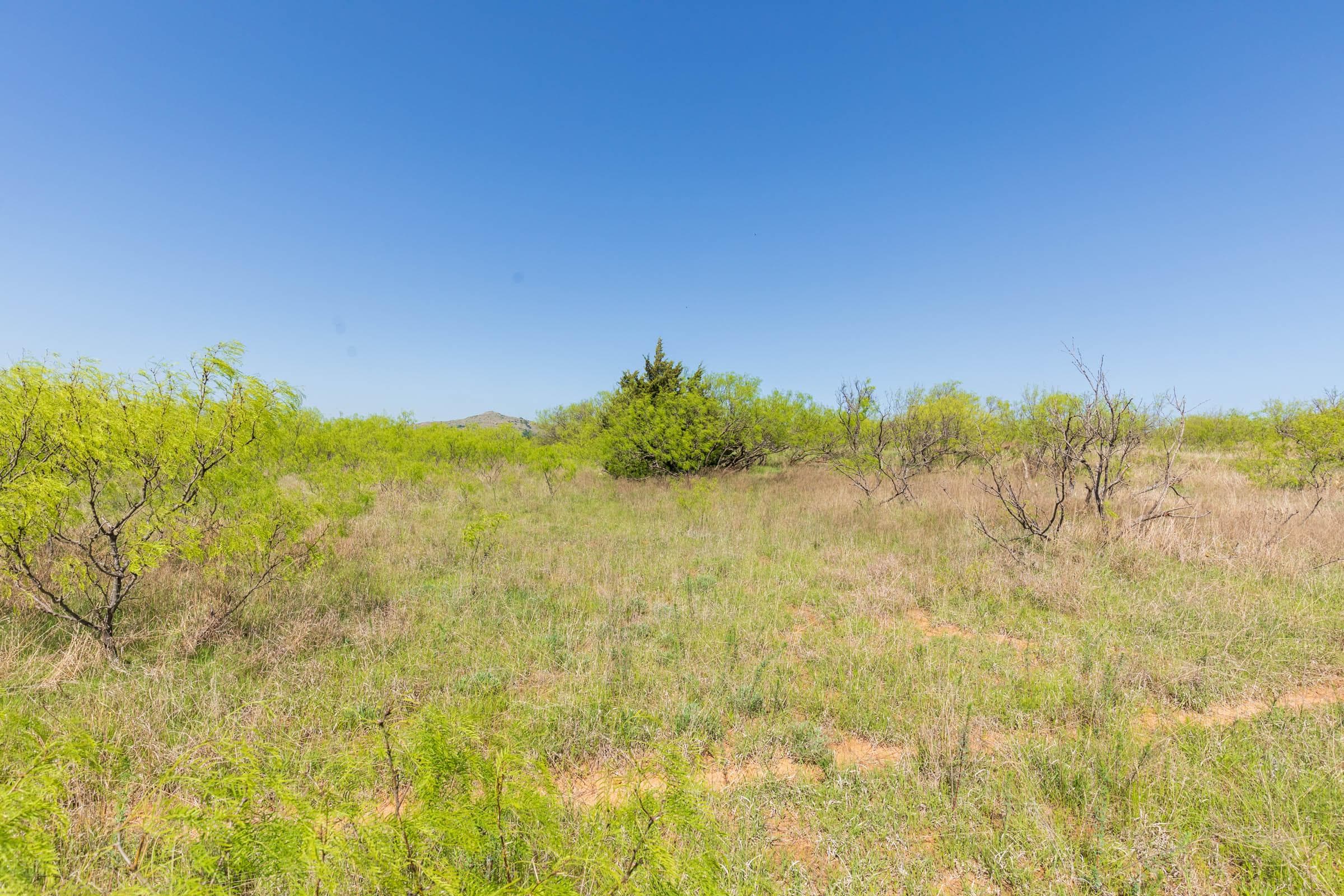 Hackberry Fields  — Zero Credit Land owner financed land for sale in Greer County, Oklahoma photo 22