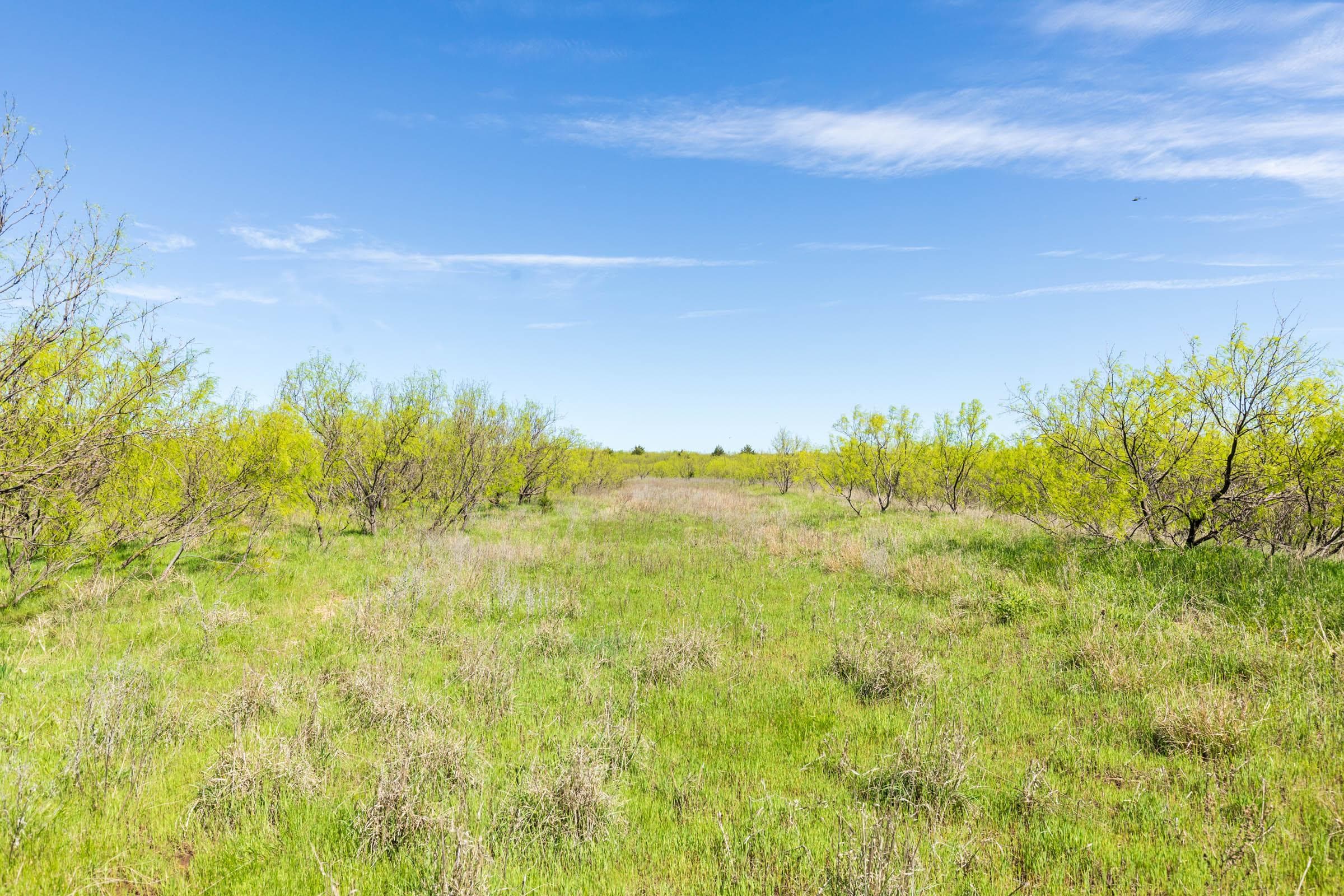 Hackberry Fields  — Zero Credit Land owner financed land for sale in Greer County, Oklahoma photo 19