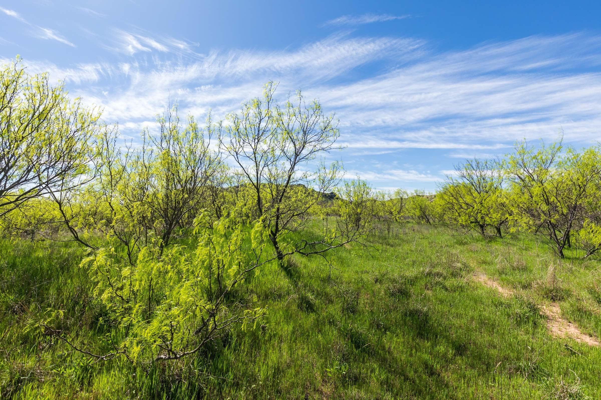 Hackberry Fields  — Zero Credit Land owner financed land for sale in Greer County, Oklahoma photo 15