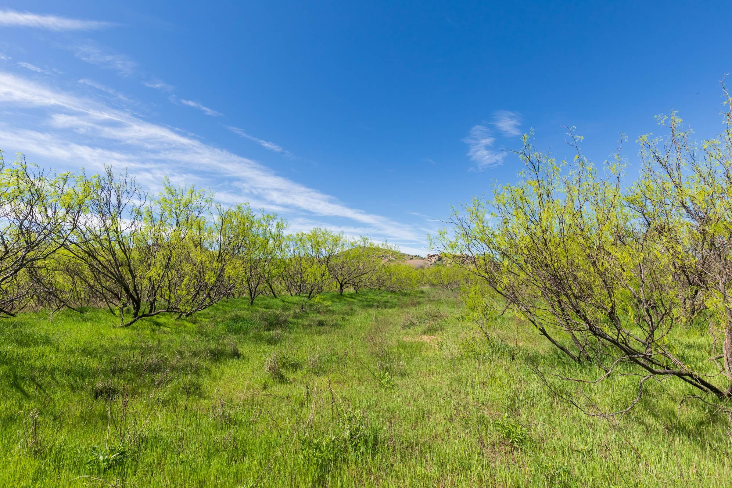 Hackberry Fields  — Zero Credit Land owner financed land for sale in Greer County, Oklahoma photo 16