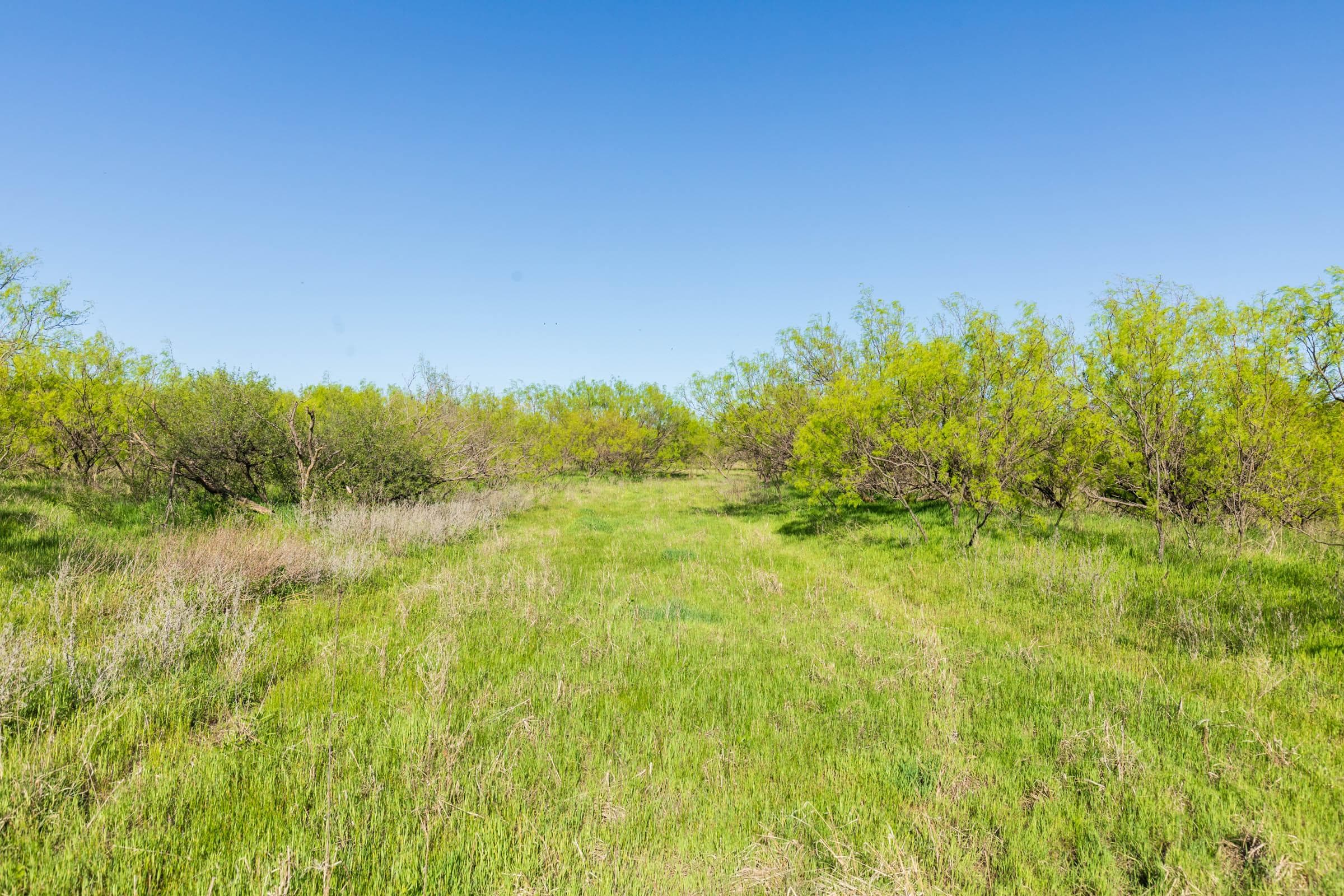 Hackberry Fields  — Zero Credit Land owner financed land for sale in Greer County, Oklahoma photo 12