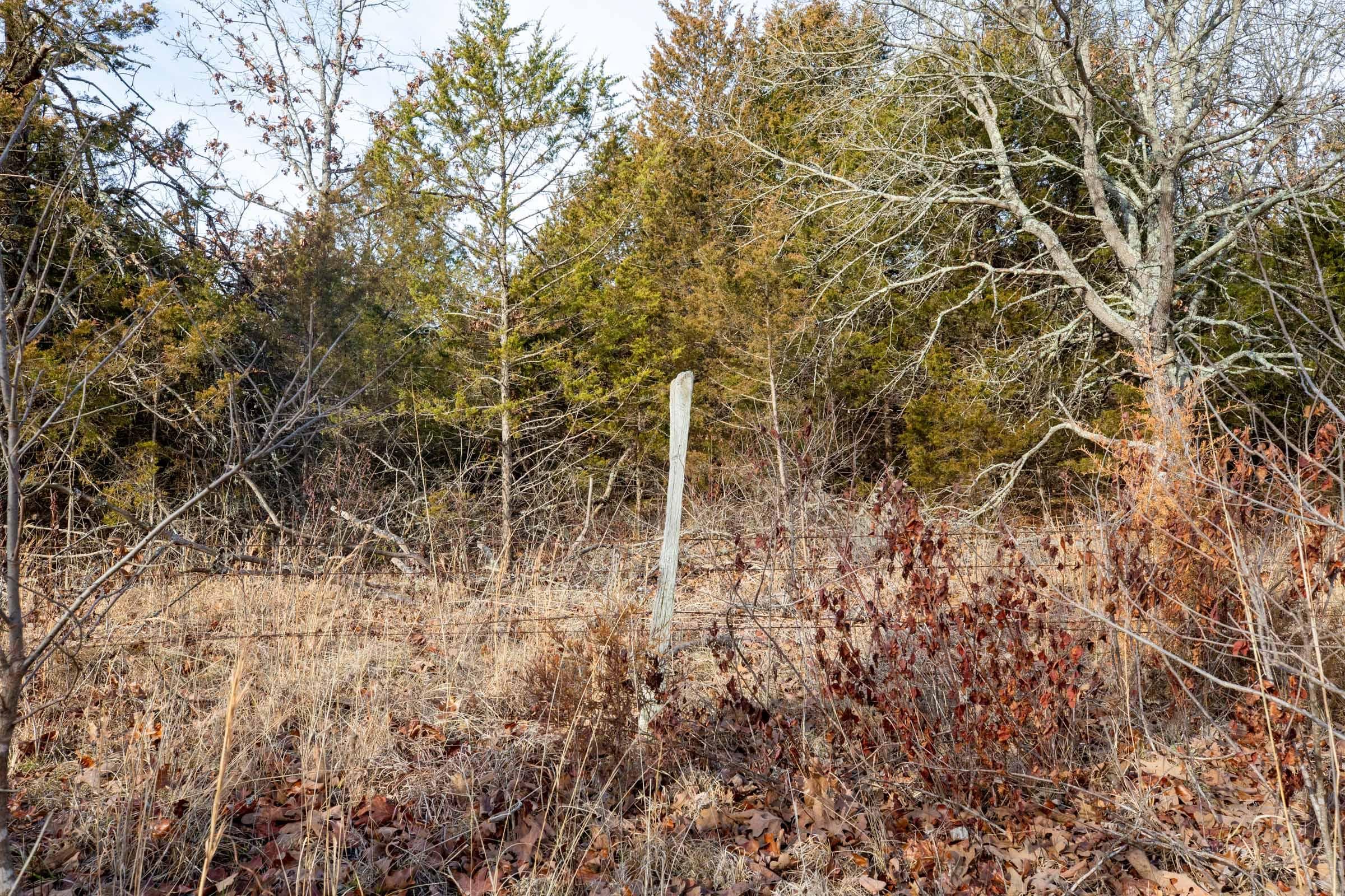 Forest Hill — Zero Credit Land owner financed land for sale in Texas County, Missouri photo 9