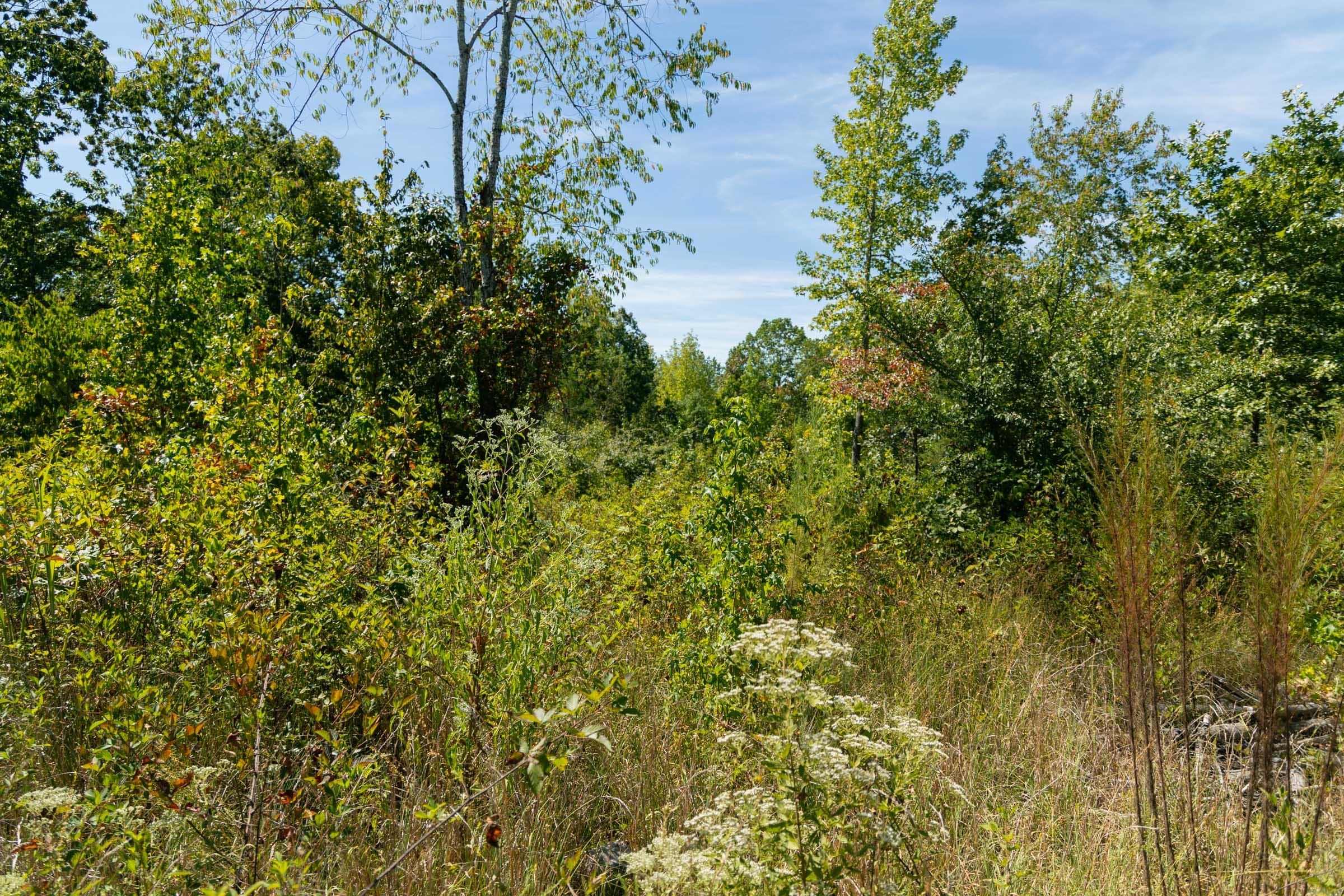 Property photo 109