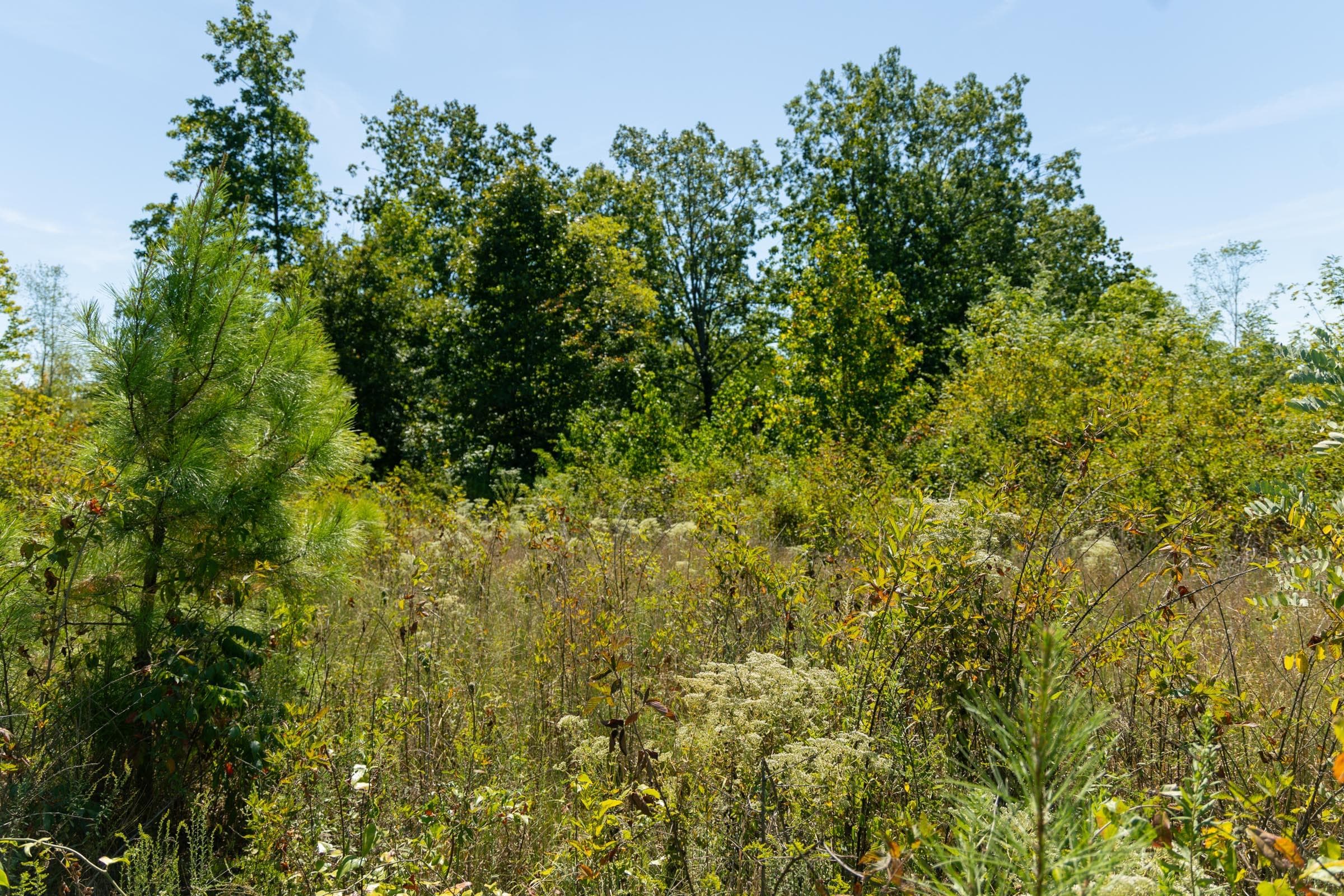 Property photo 104