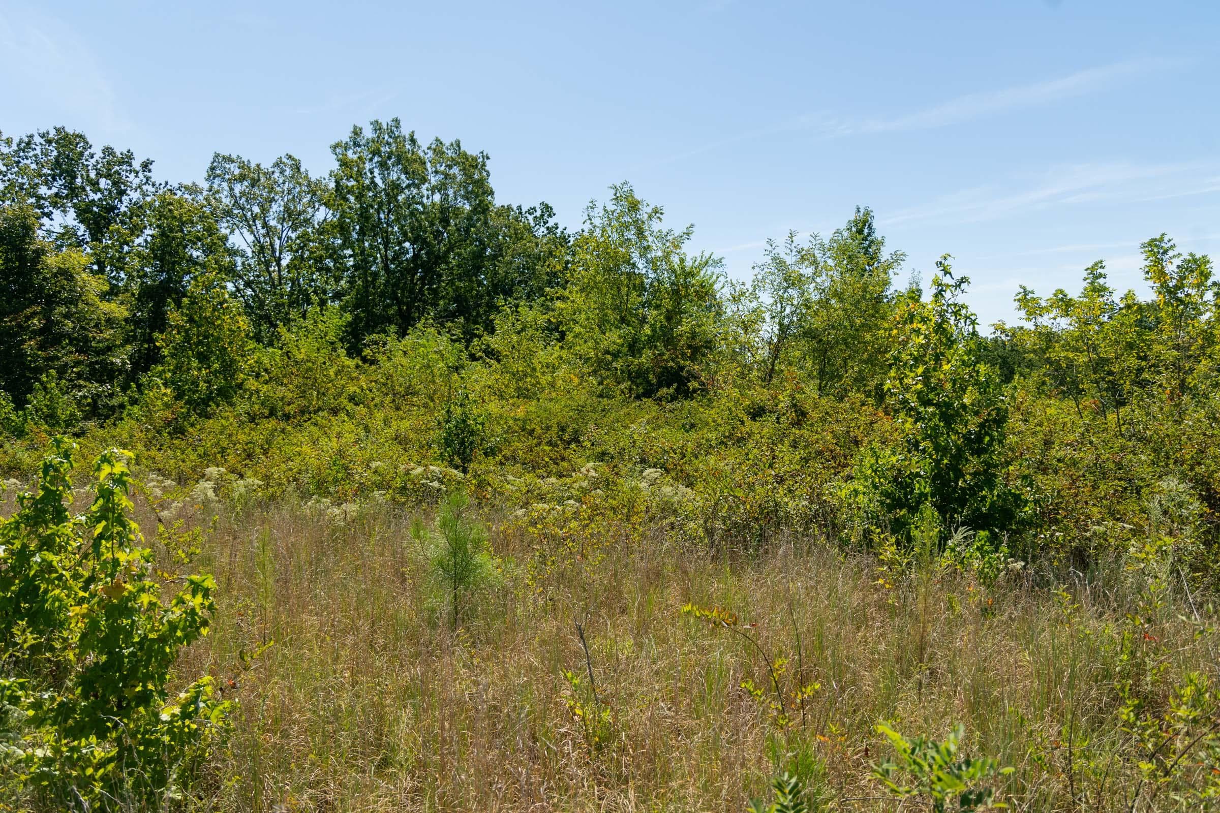 Property photo 106