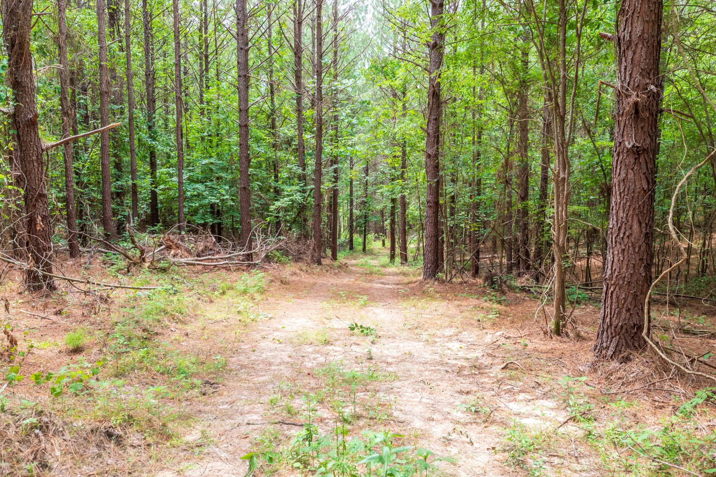 Whiskey Ridge — Zero Credit Land owner financed land for sale in Henderson County, Tennessee photo 44