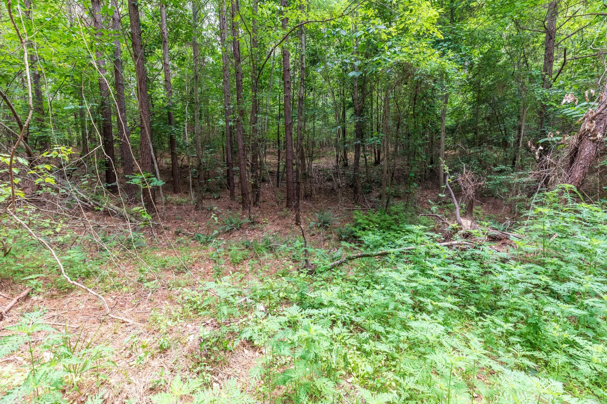 Whiskey Ridge — Zero Credit Land owner financed land for sale in Henderson County, Tennessee photo 45