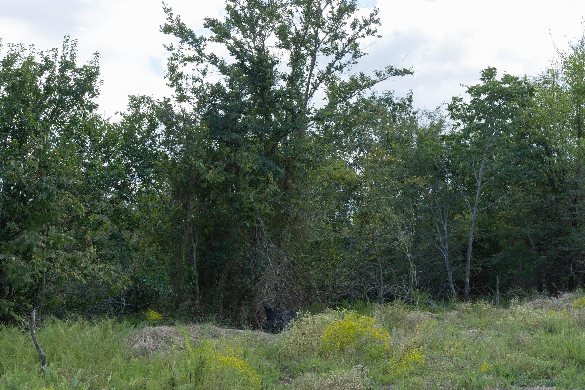  Reserves At Cattail Cove Phase II — Zero Credit Land owner financed land for sale in Pittsburg County, Oklahoma photo 48