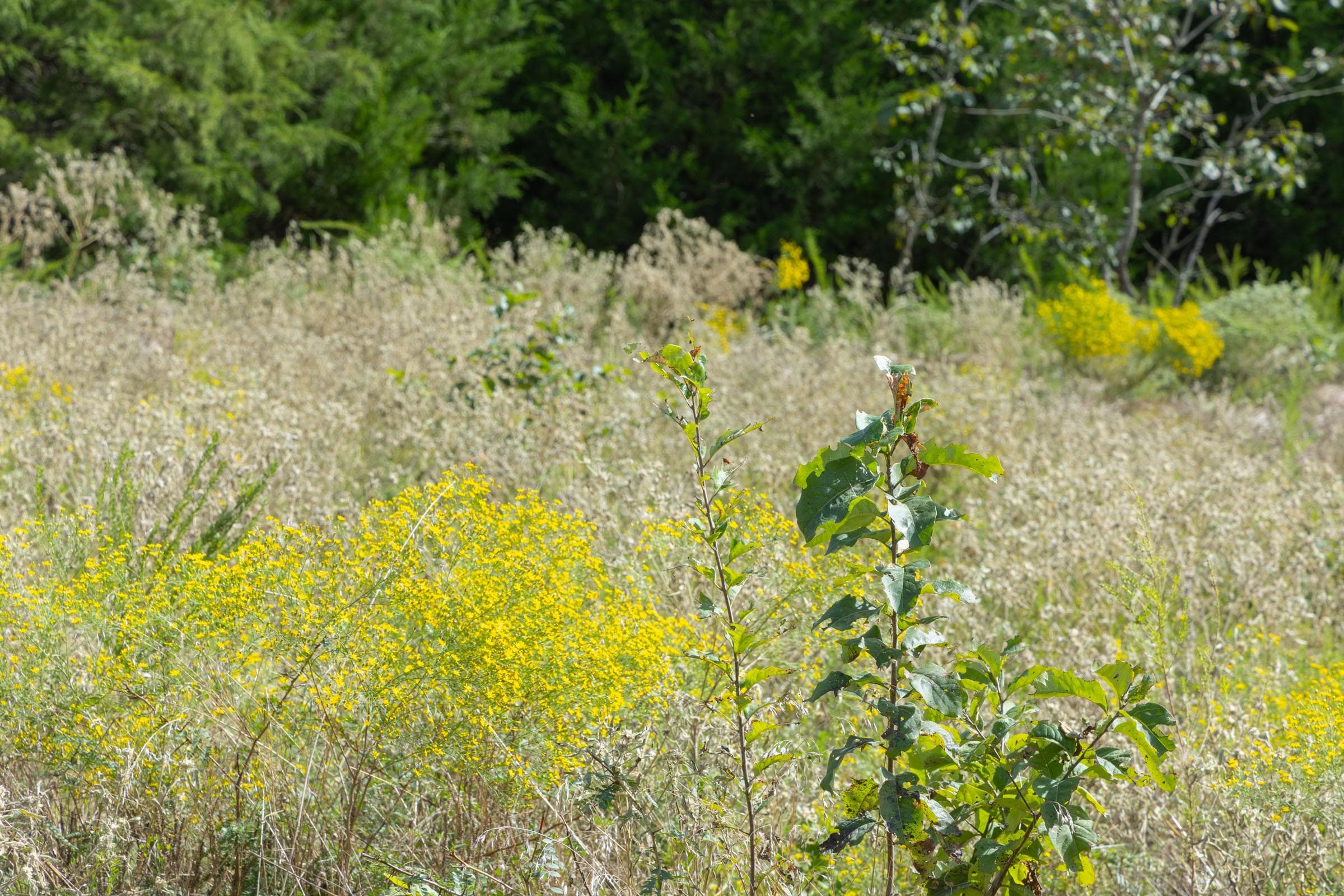  Reserves At Cattail Cove Phase II — Zero Credit Land owner financed land for sale in Pittsburg County, Oklahoma photo 50