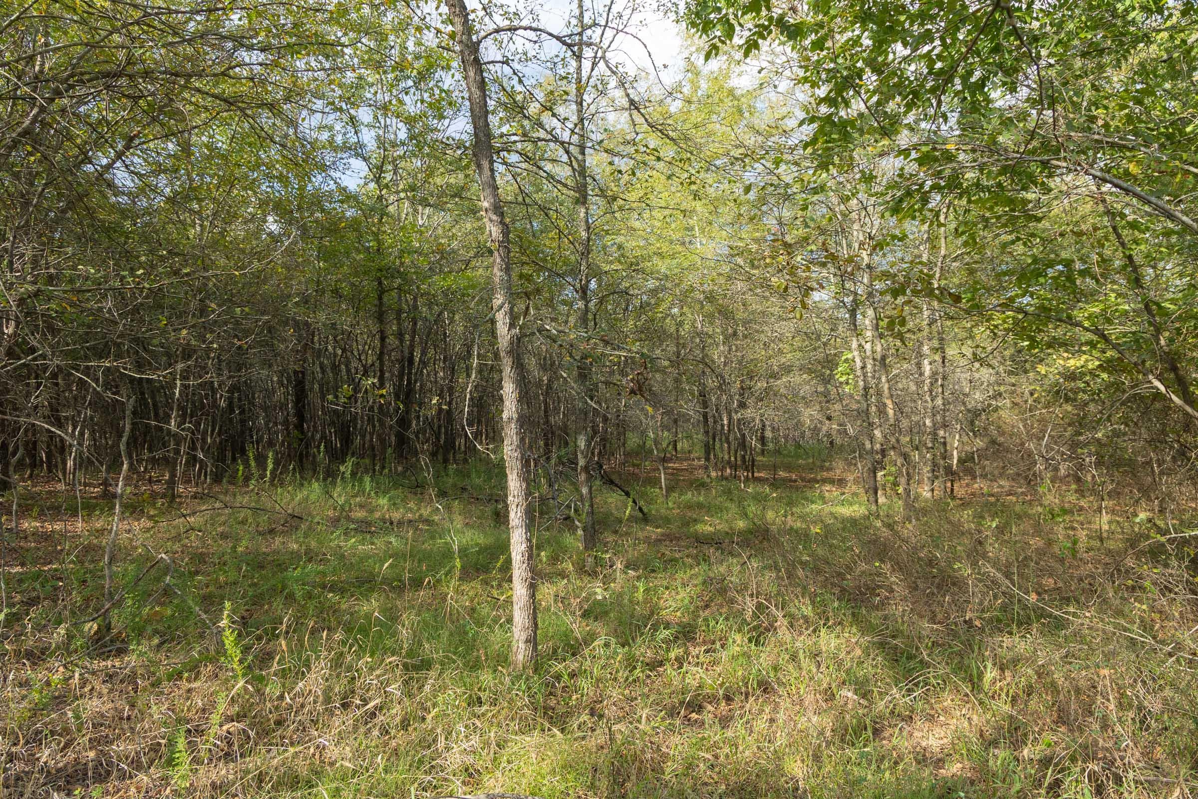  Reserves At Cattail Cove Phase II — Zero Credit Land owner financed land for sale in Pittsburg County, Oklahoma photo 46