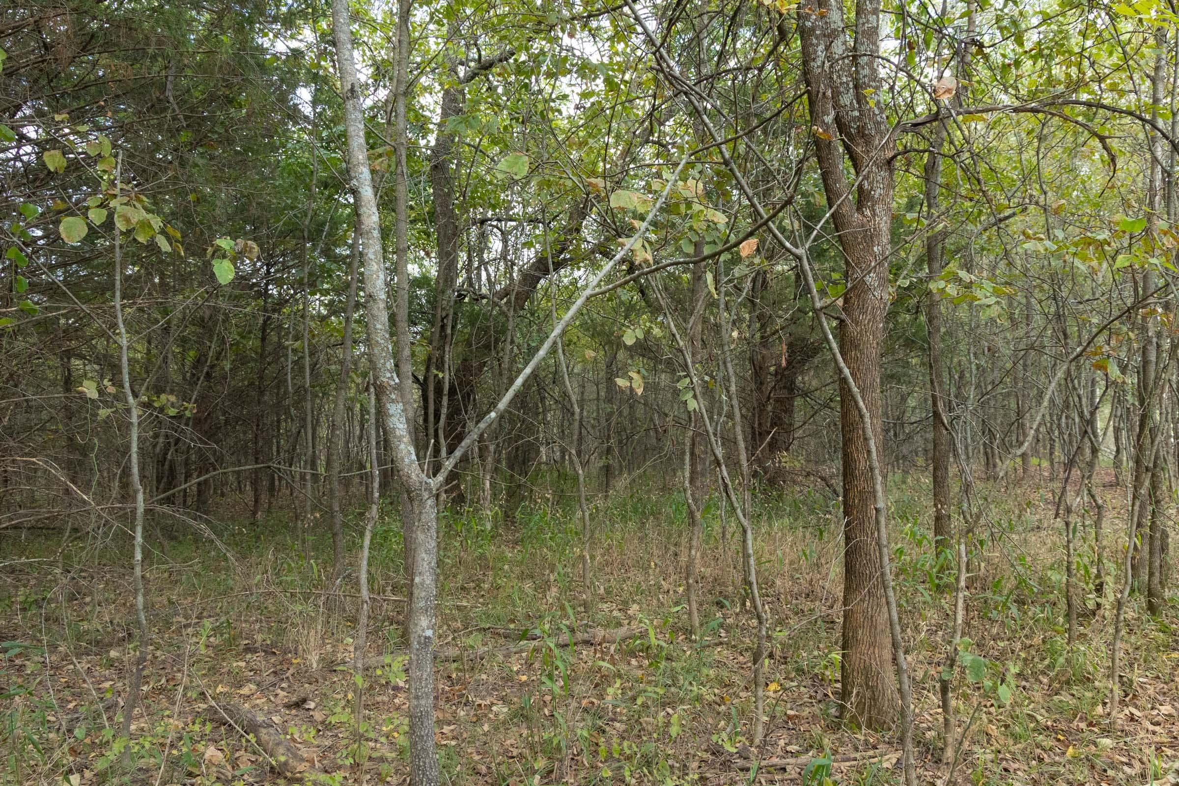  Reserves At Cattail Cove Phase II — Zero Credit Land owner financed land for sale in Pittsburg County, Oklahoma photo 43