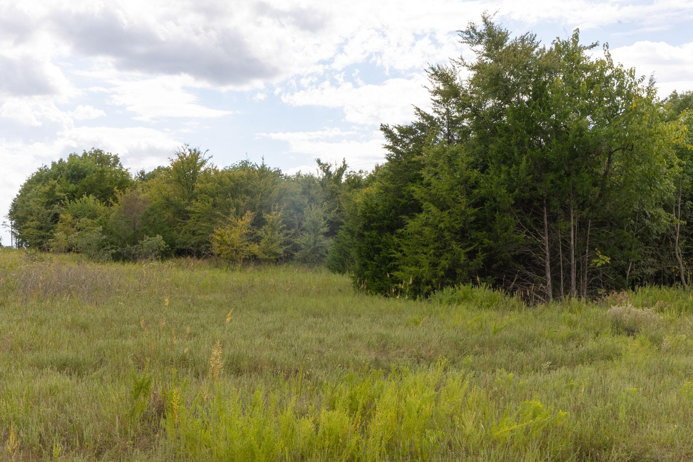  Reserves At Cattail Cove Phase II — Zero Credit Land owner financed land for sale in Pittsburg County, Oklahoma photo 30